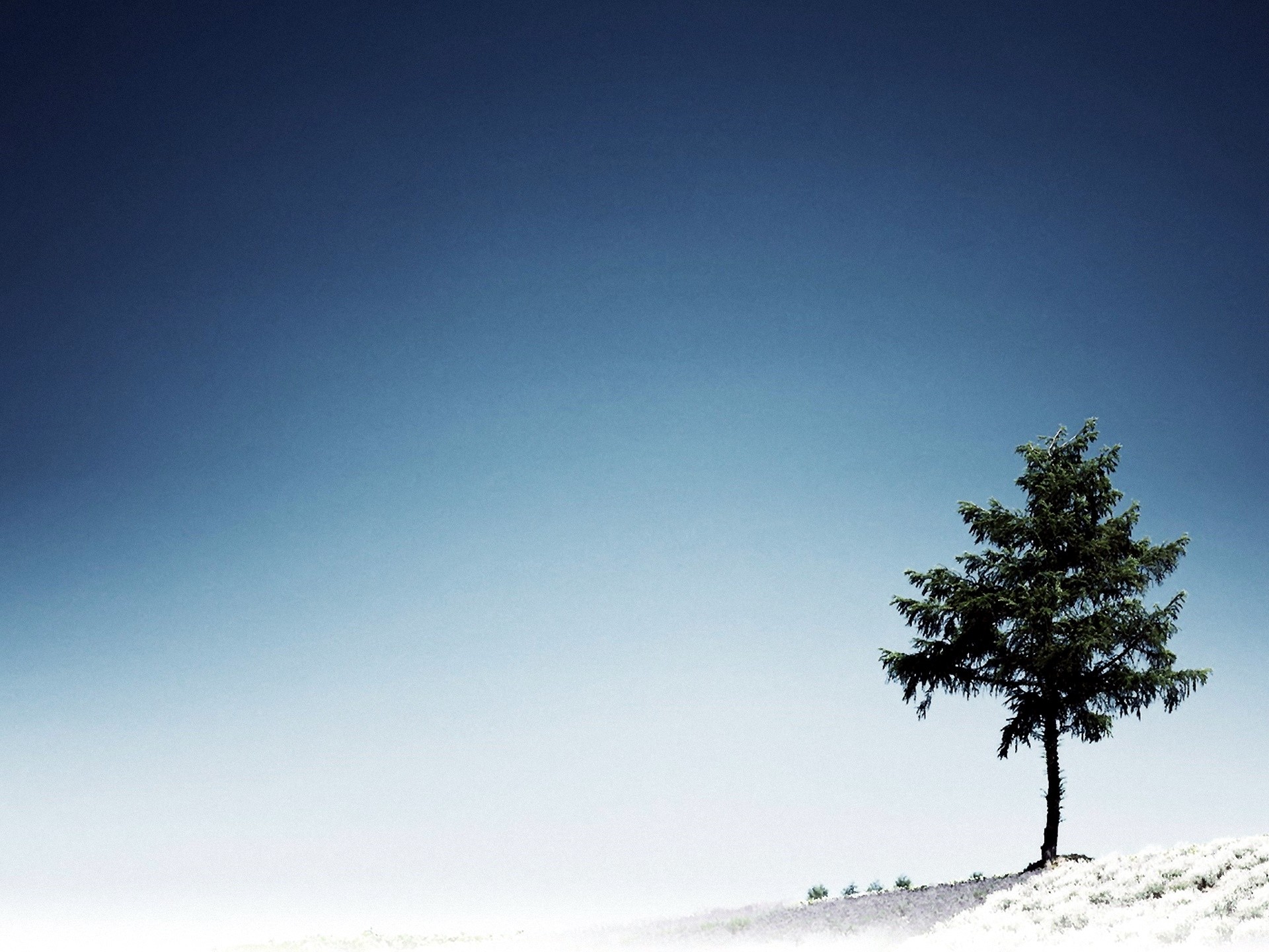 Albero solitario, Neve, Cielo, wallpaper iOS 9