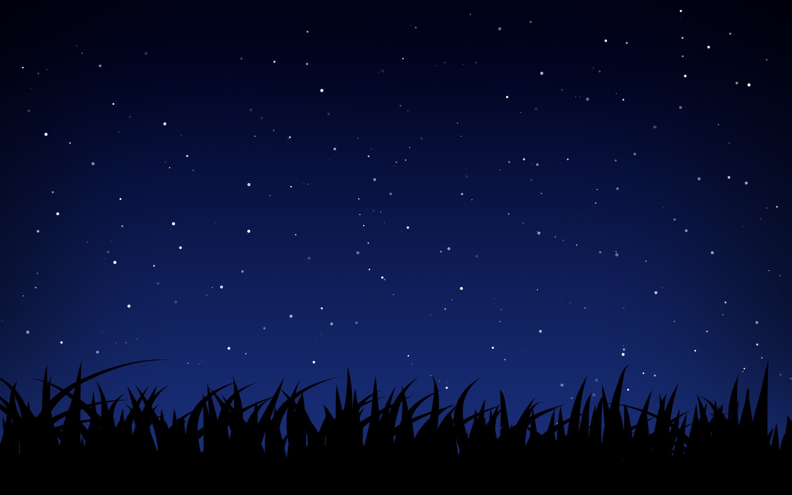 Cielo stellato, Erba, Silhouette, Blu, 2560x1600, sfondo per PC