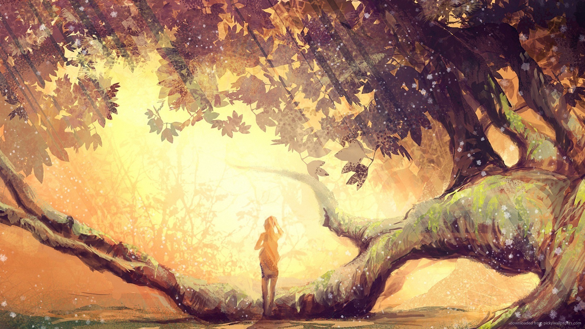 Albero, Ragazza, Foglie d'autunno, Luce del sole, Illustrazione, sfondo desktop Full HD