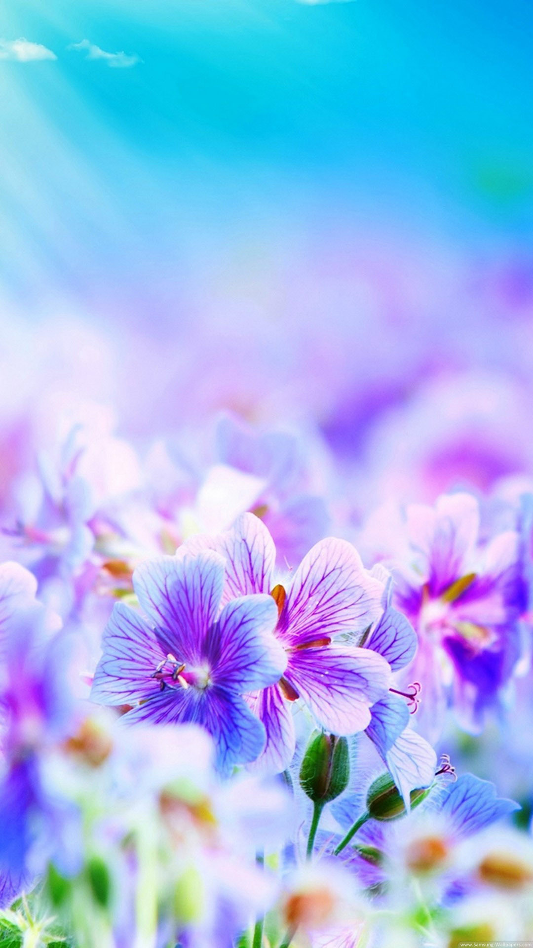 Fiori viola, Bokeh, Primavera, Full HD, sfondo Samsung S3