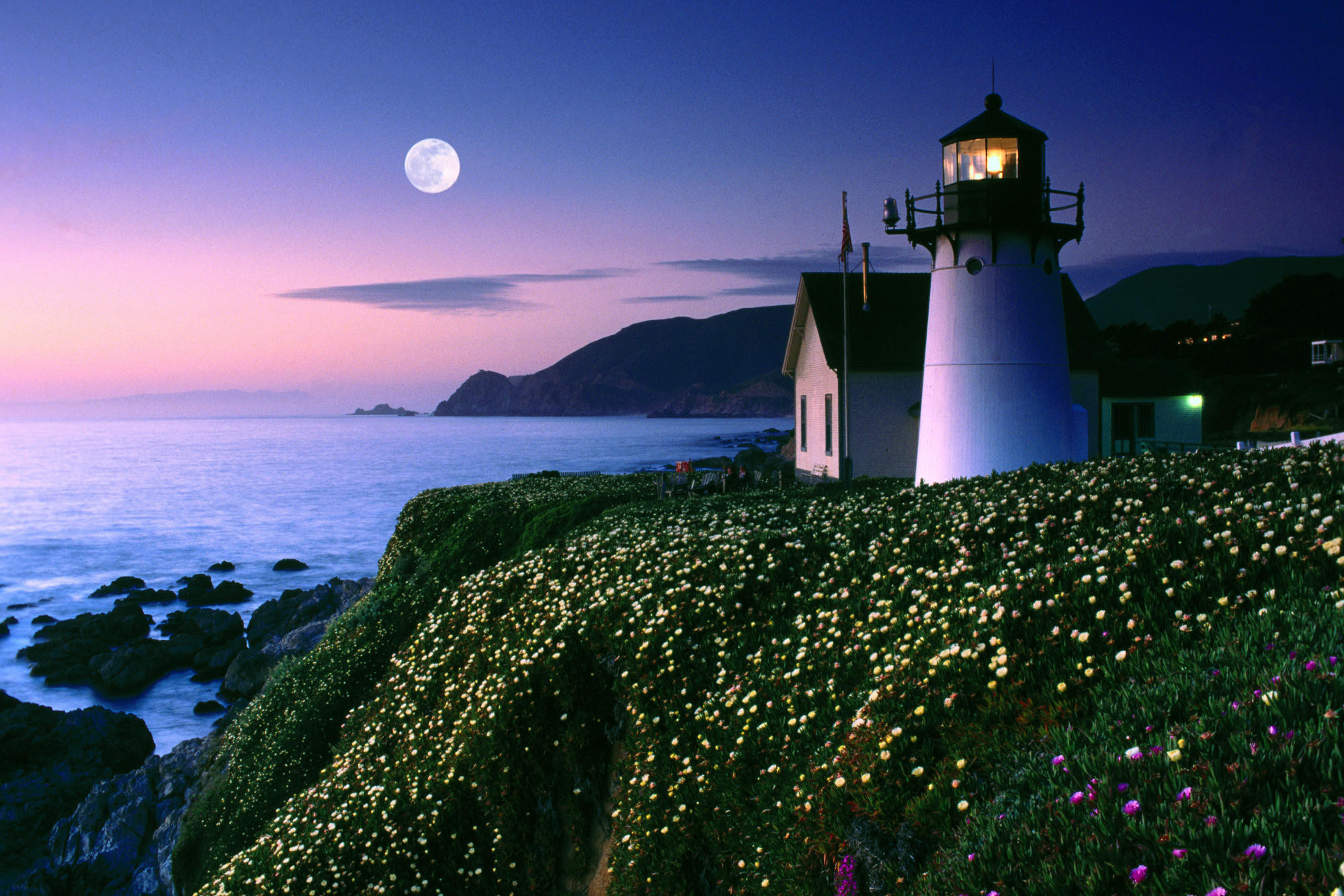 Faro, Scogliera, Luna, Crepuscolo, Fiori, Costa, Full HD, sfondo desktop