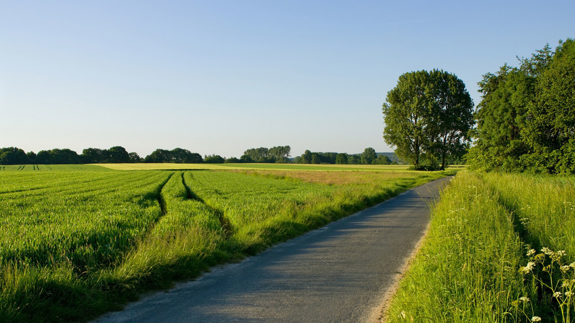 Strada di campagna, Prato, Alberi, Estate, 16:9 Full HD, wallpaper widescreen