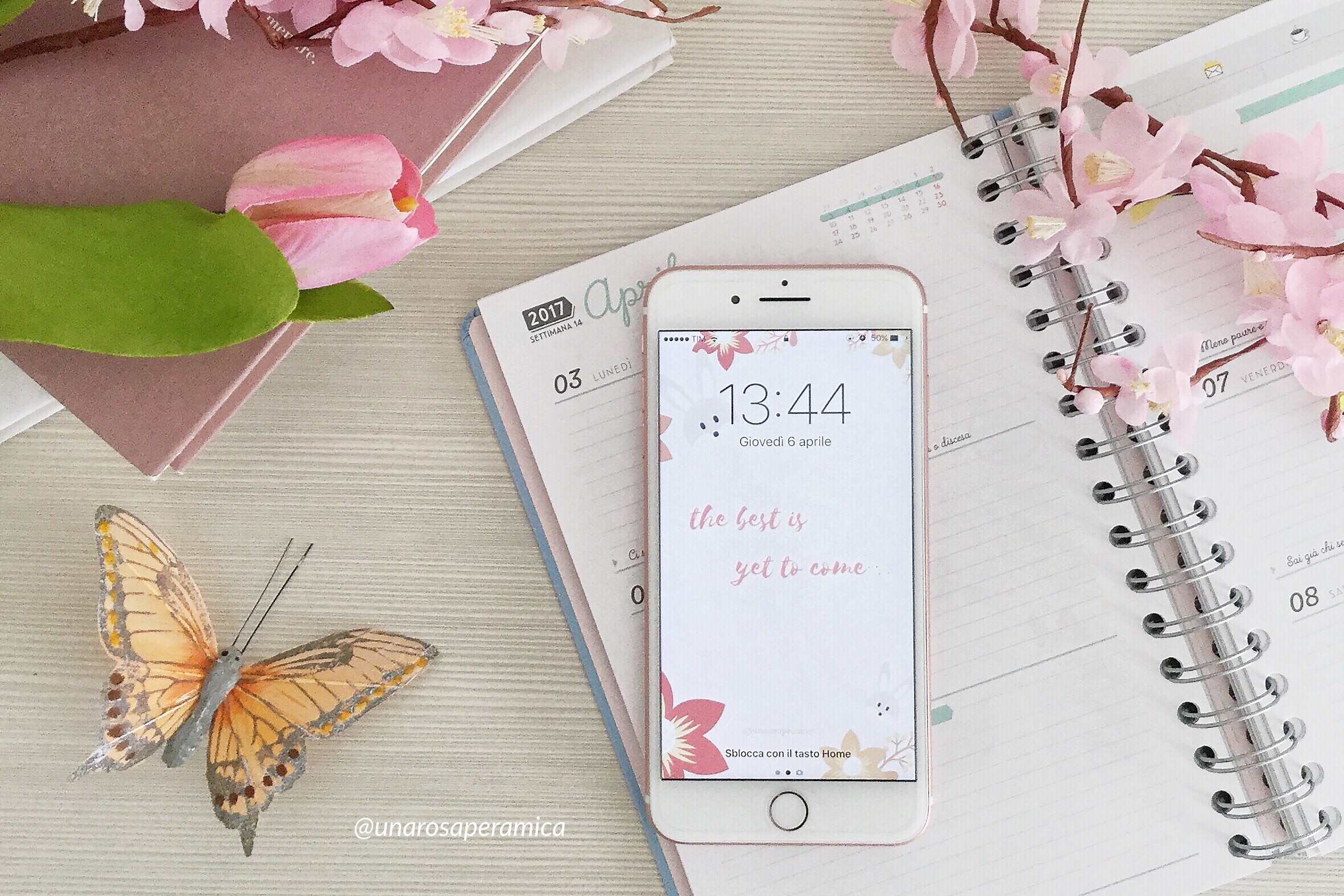 iPhone, Agenda, Farfalla, Fiori di ciliegio, Rosa pastello, Full HD, wallpaper per portatile