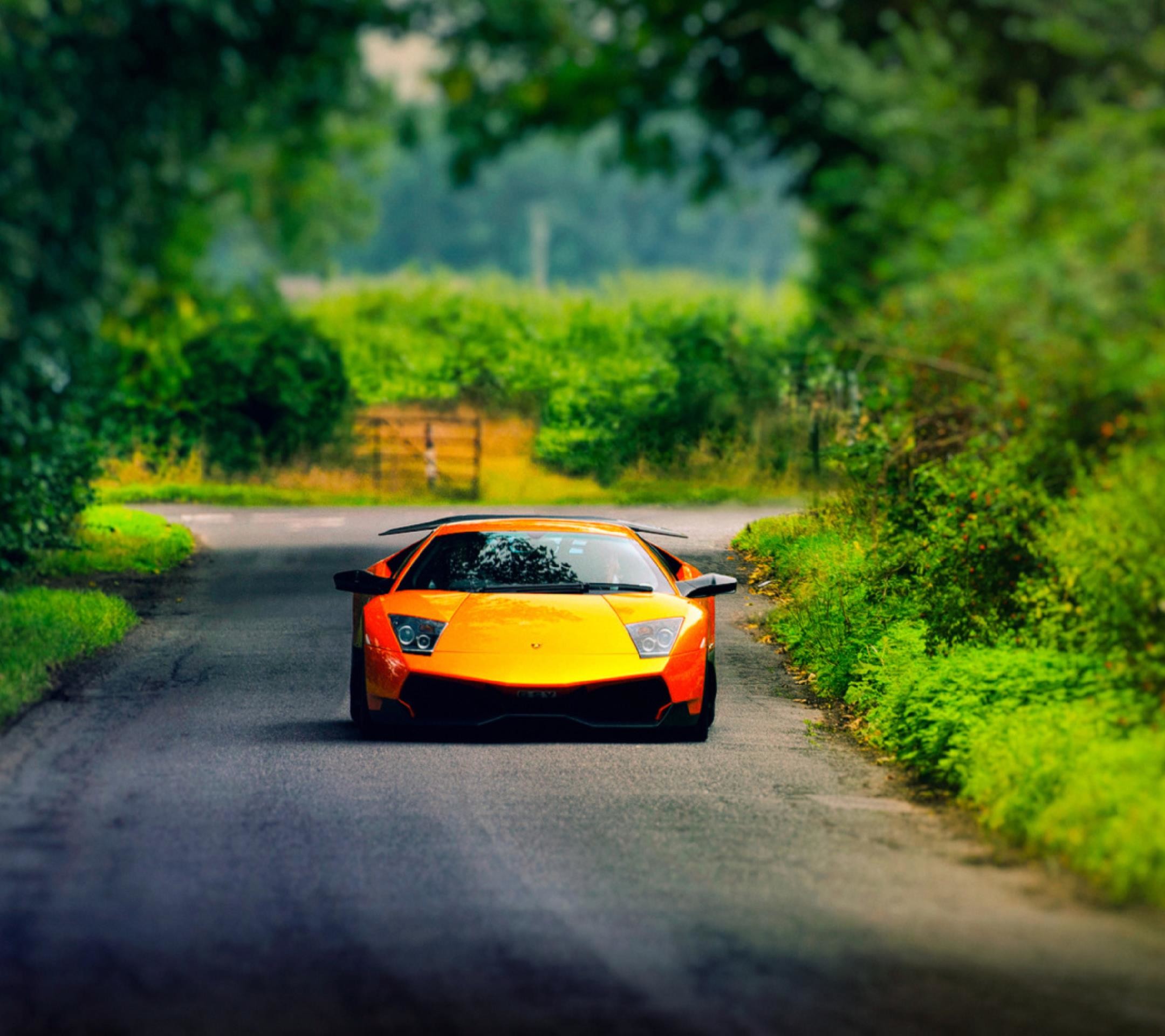 Lamborghini Murciélago LP 670-4 SuperVeloce, Supercar, Strada di campagna, Arancione, sfondo tablet