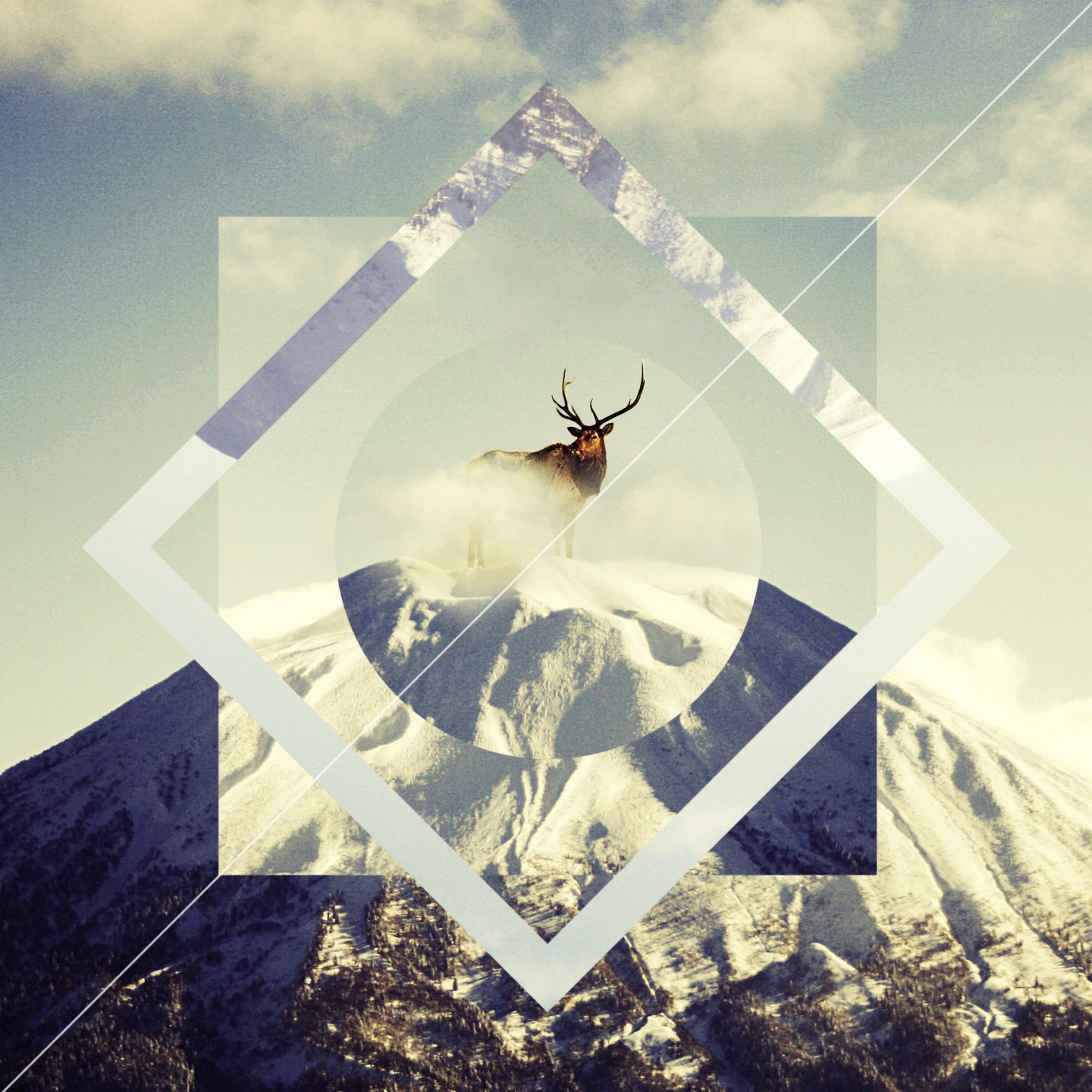 Cervo, Montagna innevata, Rombo, Geometrico, Full HD, schermata di blocco iPad