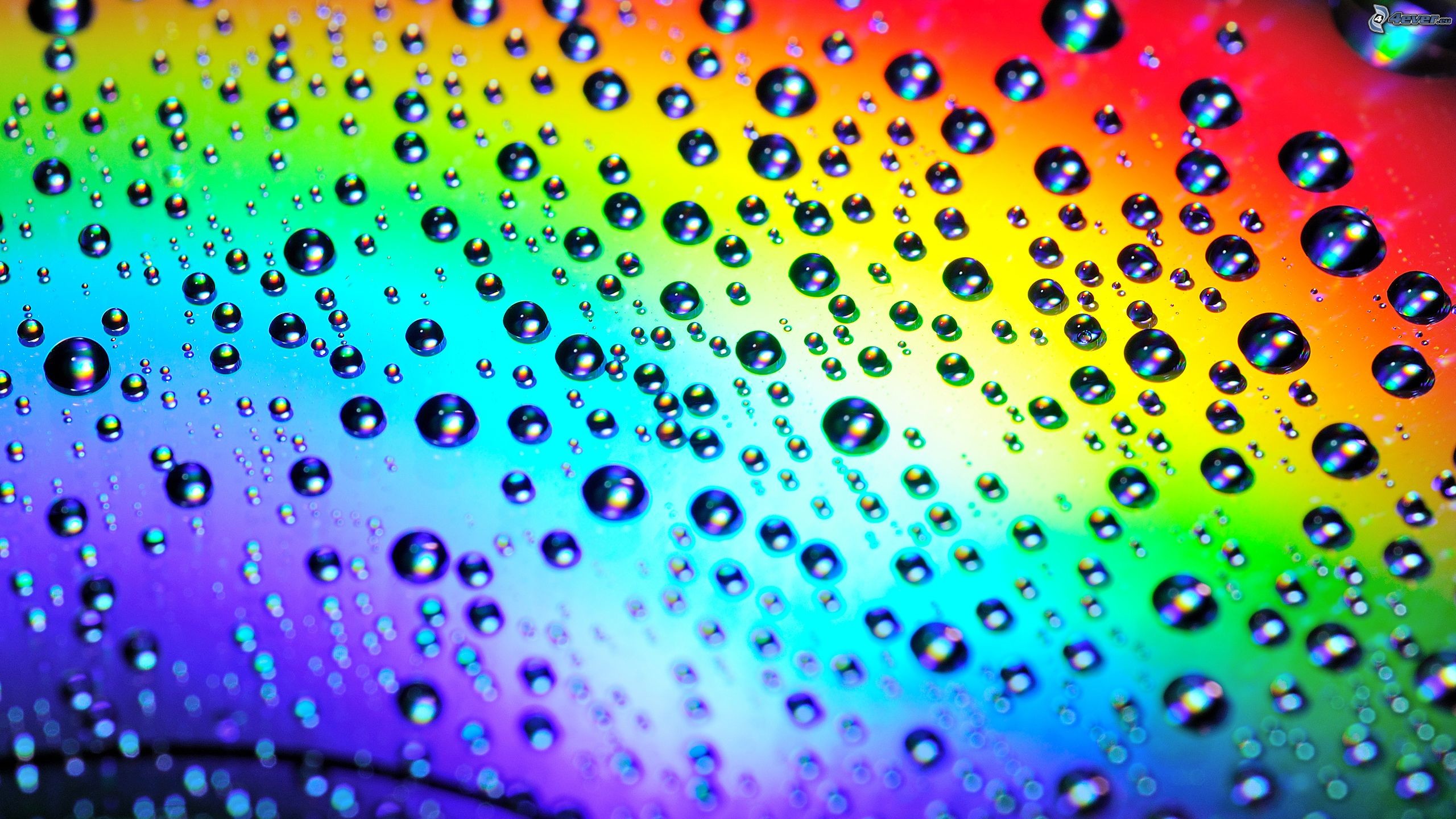 Gocce d'acqua, Colori arcobaleno, Primo piano, 2K, sfondo per portatile