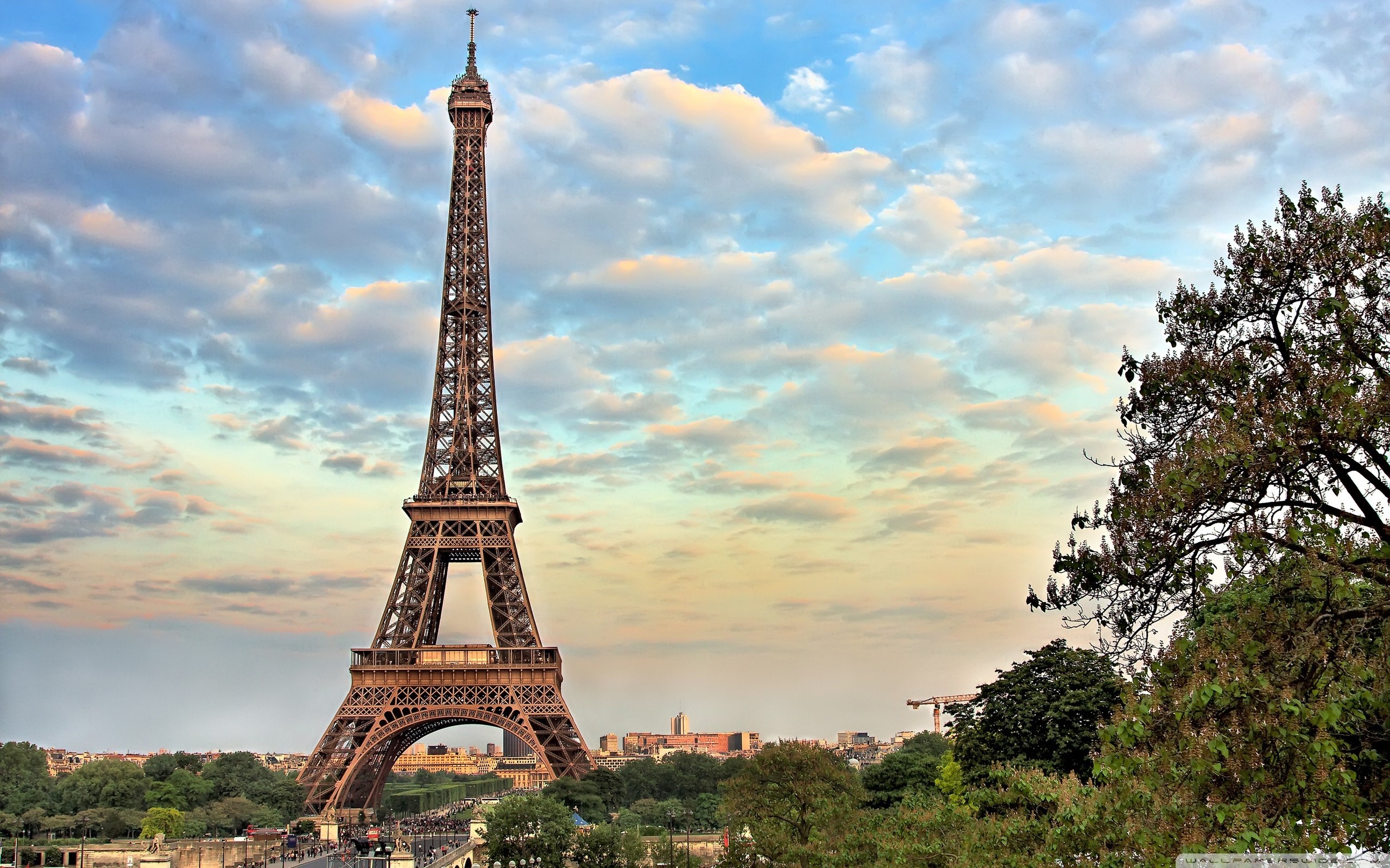 Torre Eiffel, Parigi, Nuvole, Alberi, 2K 1600p, sfondo desktop