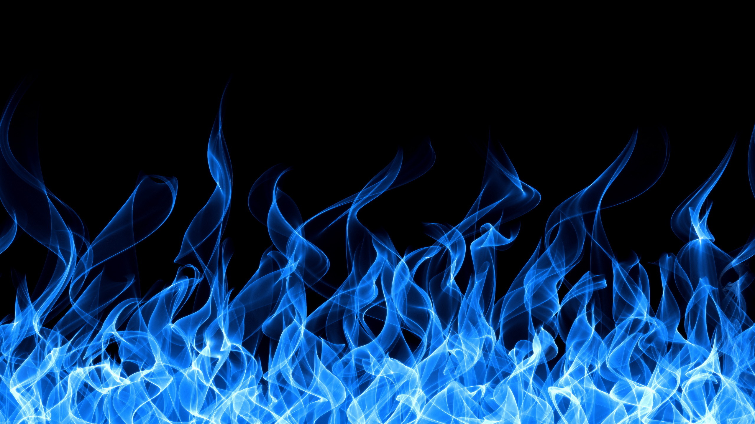Fiamme blu, Fuoco, Sfondo nero, 2560x1440, wallpaper desktop