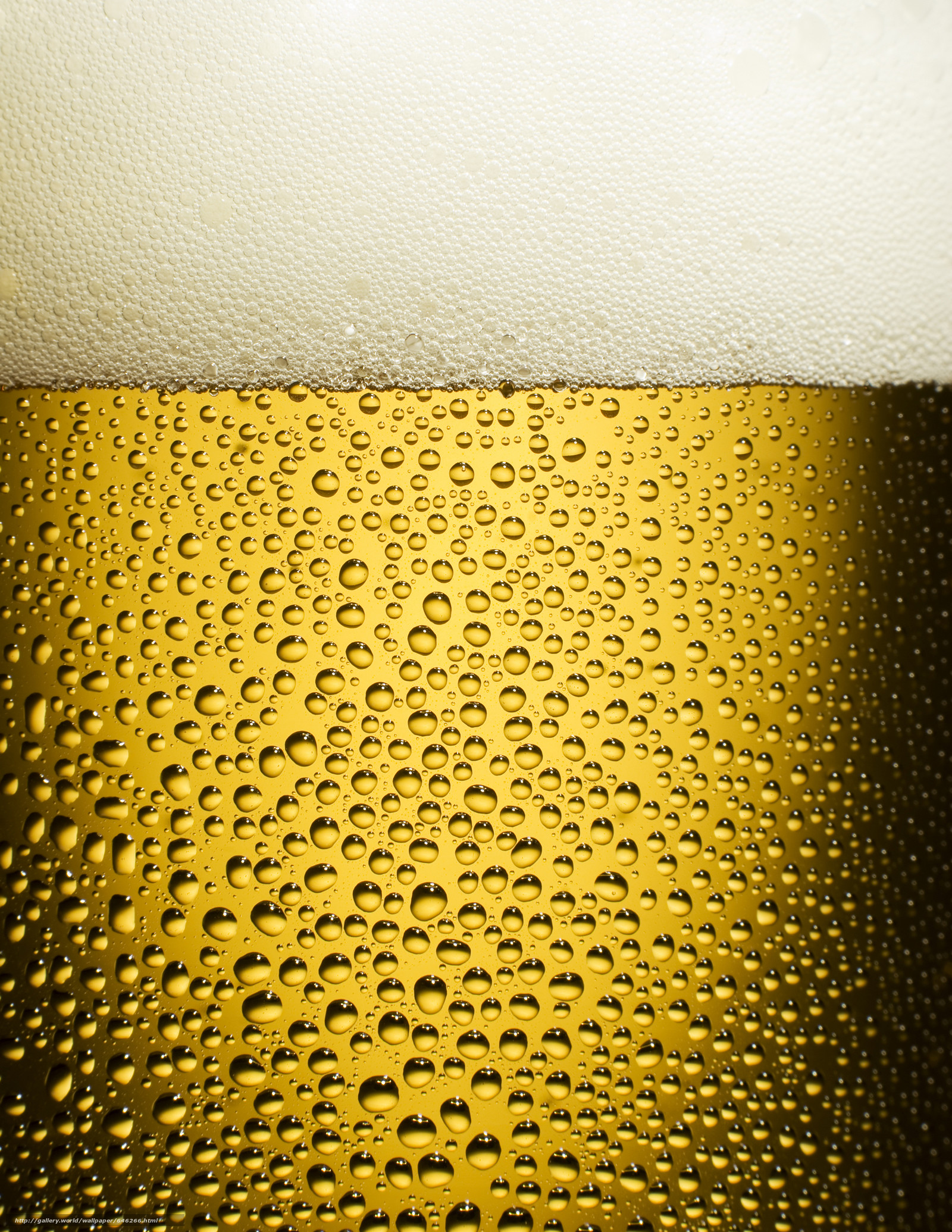 Birra, Bollicine, Schiuma, Giallo dorato, QHD+, sfondo per iPad e tablet