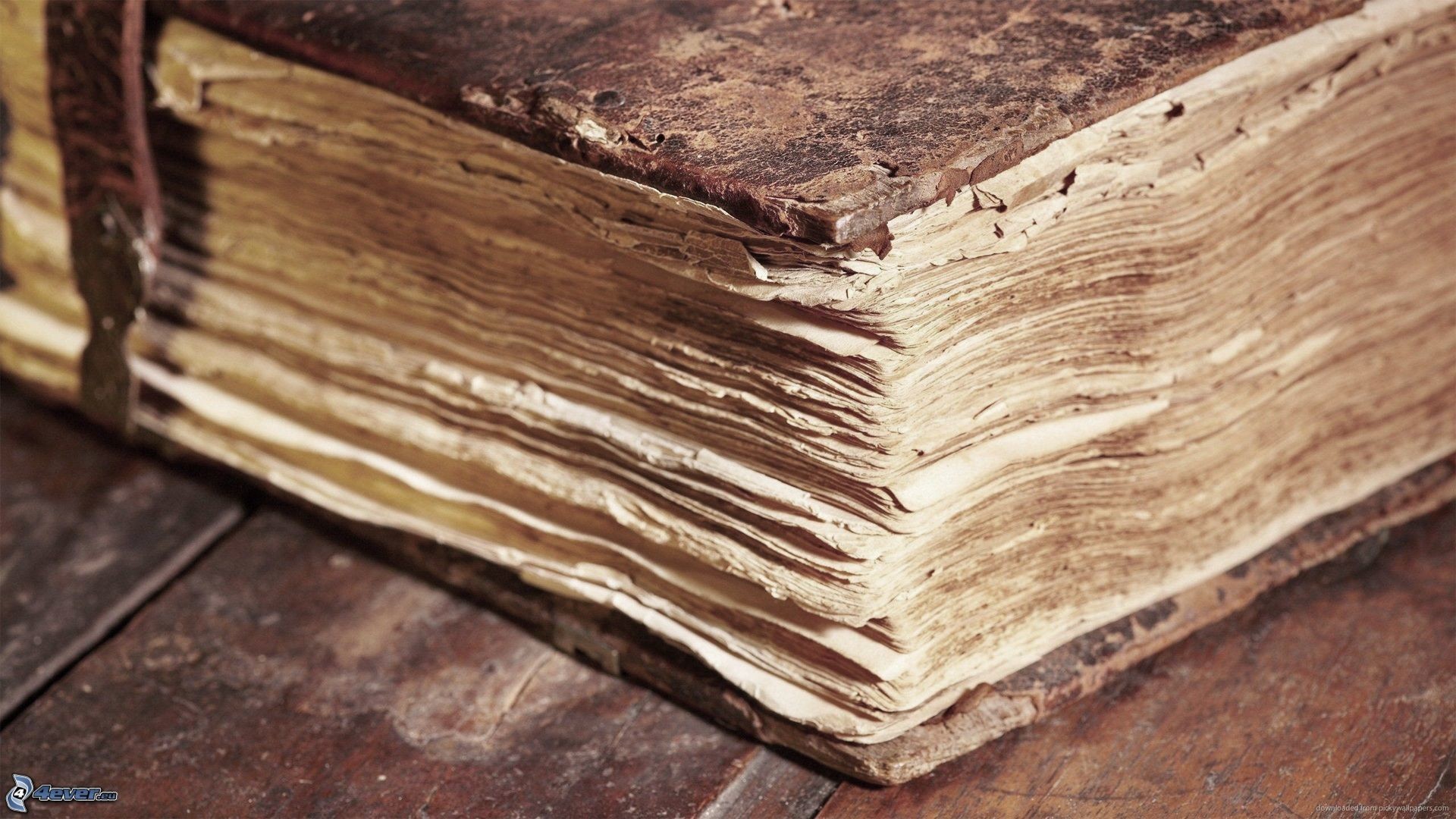 Libro antico, Pagine ingiallite, Primo piano, Full HD, sfondo Windows 11