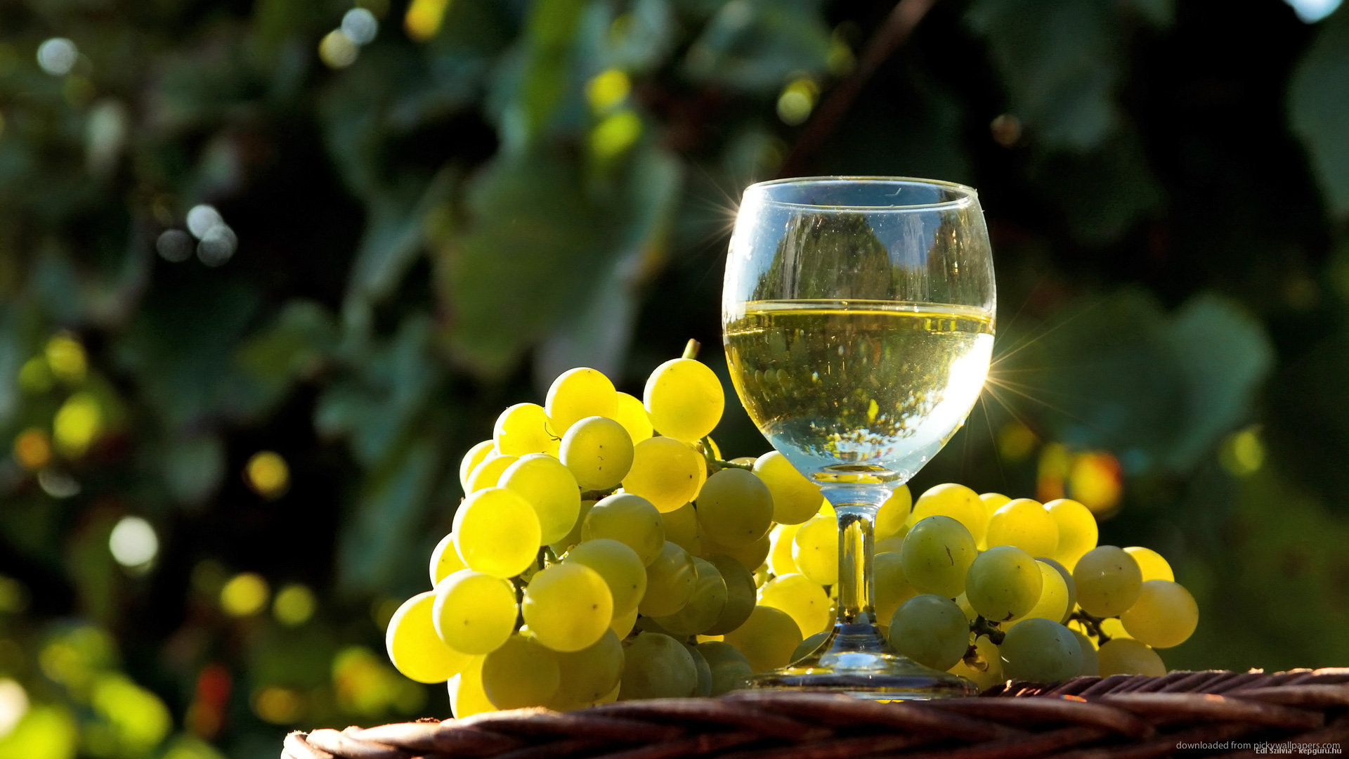Vino bianco, Calice, Uva bianca, Vigna, Luce del sole, 1920x1080, immagine di sfondo