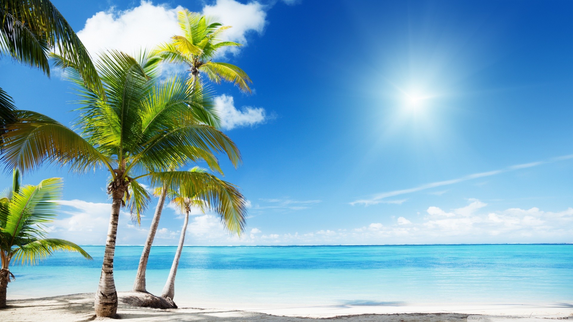 Palme, Sole, Mare turchese, Cielo azzurro, 1920x1080, immagine di sfondo