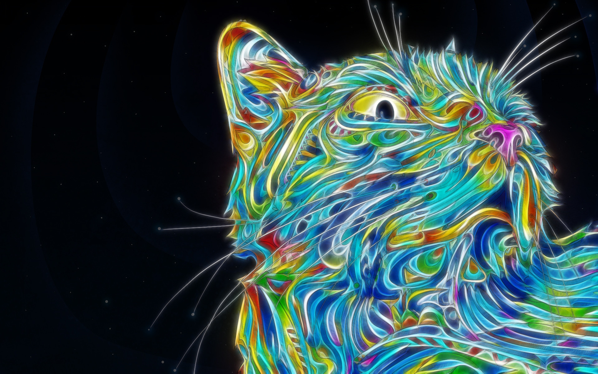 Gatto, Linee colorate, Sfondo nero, Arte digitale, 16:10 Full HD, wallpaper widescreen