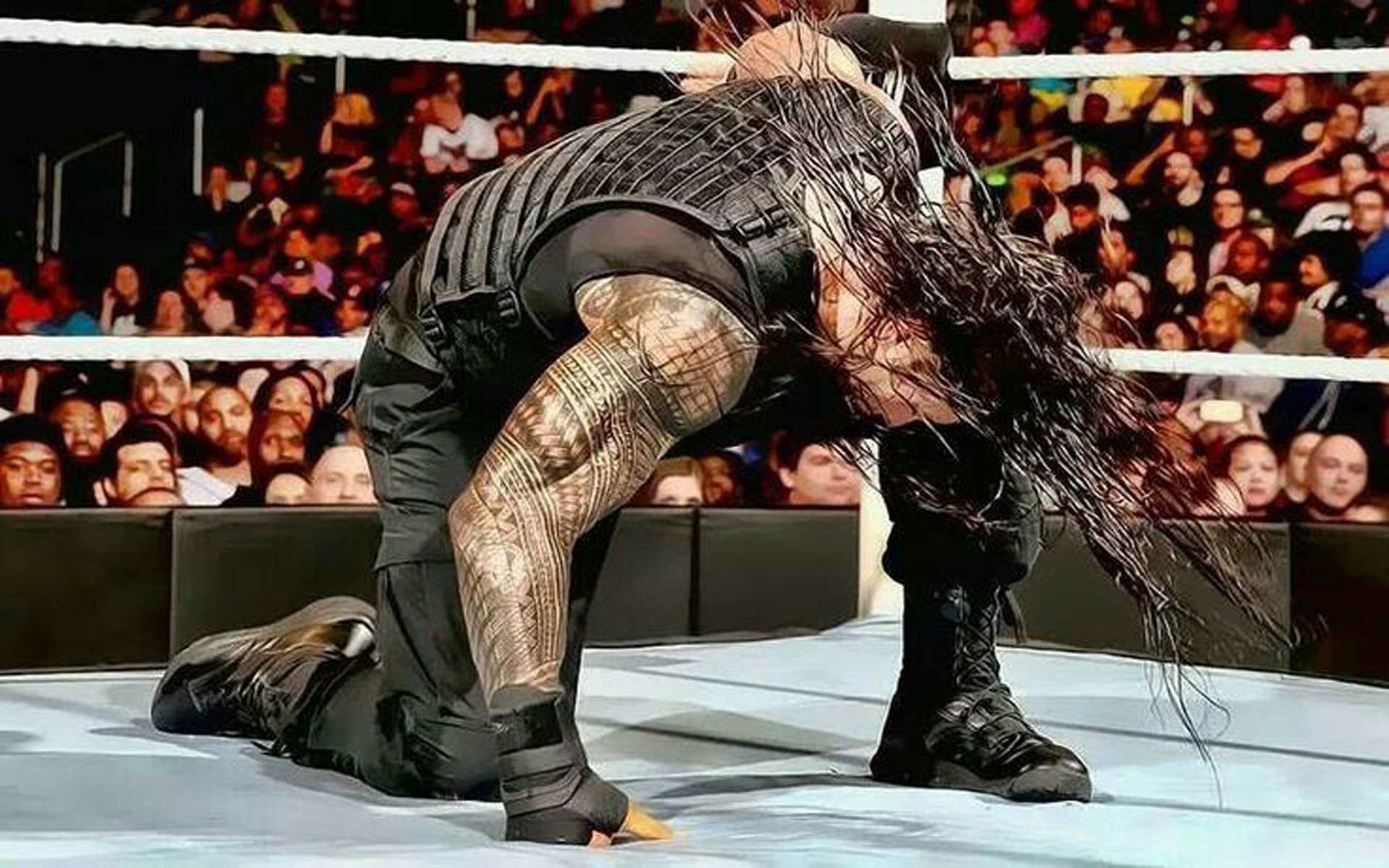 Roman Reigns, WWE, Ring, Pubblico, 1920x1200, sfondo MacBook Pro