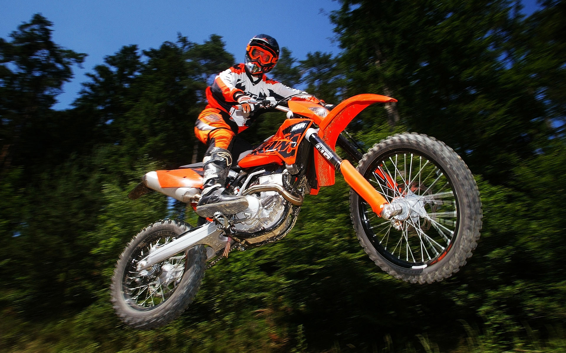 KTM, Salto, Motocross, Bosco, 16:10 Full HD, sfondo widescreen