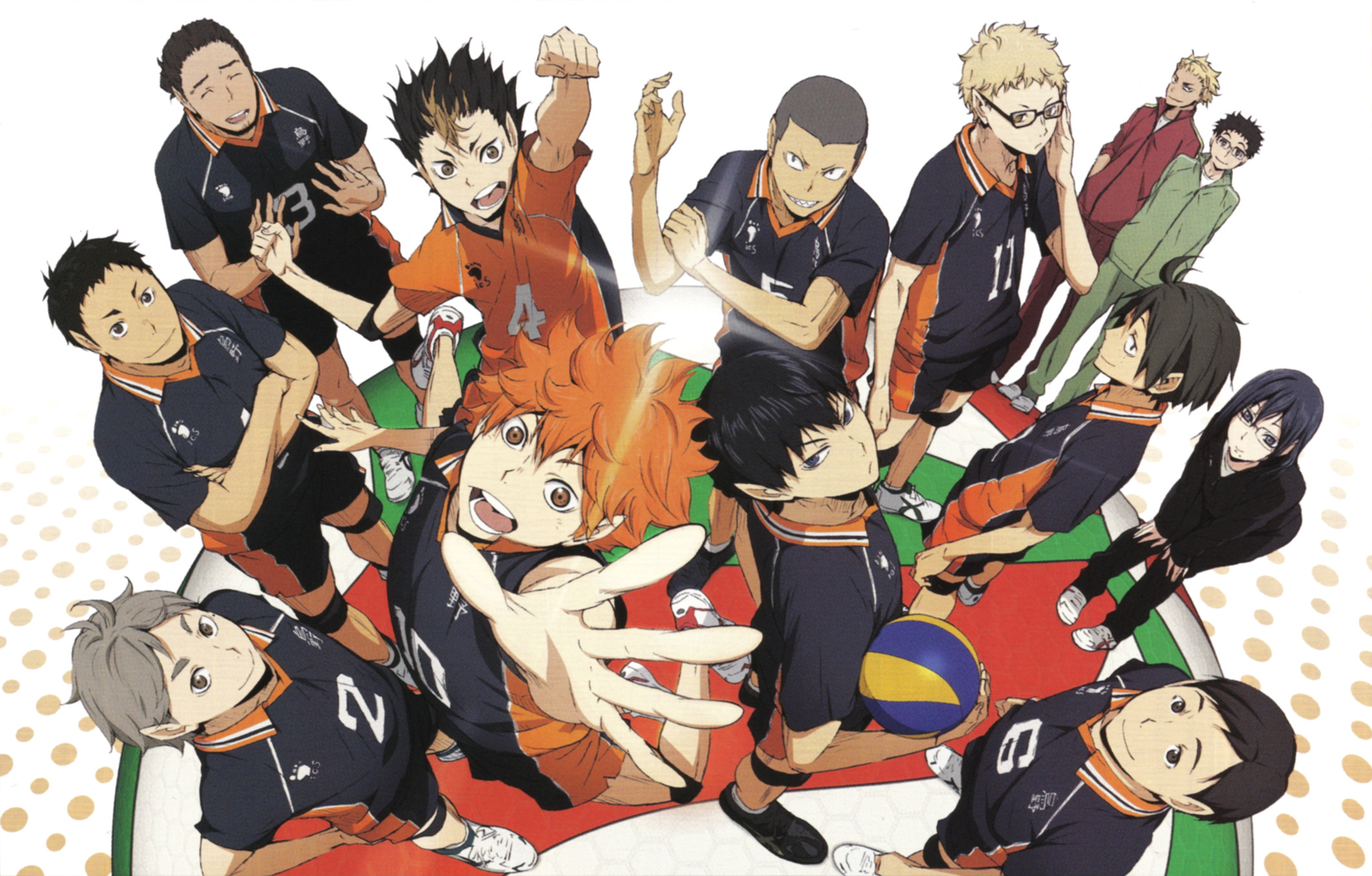 Karasuno, Shoyo Hinata, Haikyu!!, Squadra, Pallavolo, Full HD, sfondo desktop