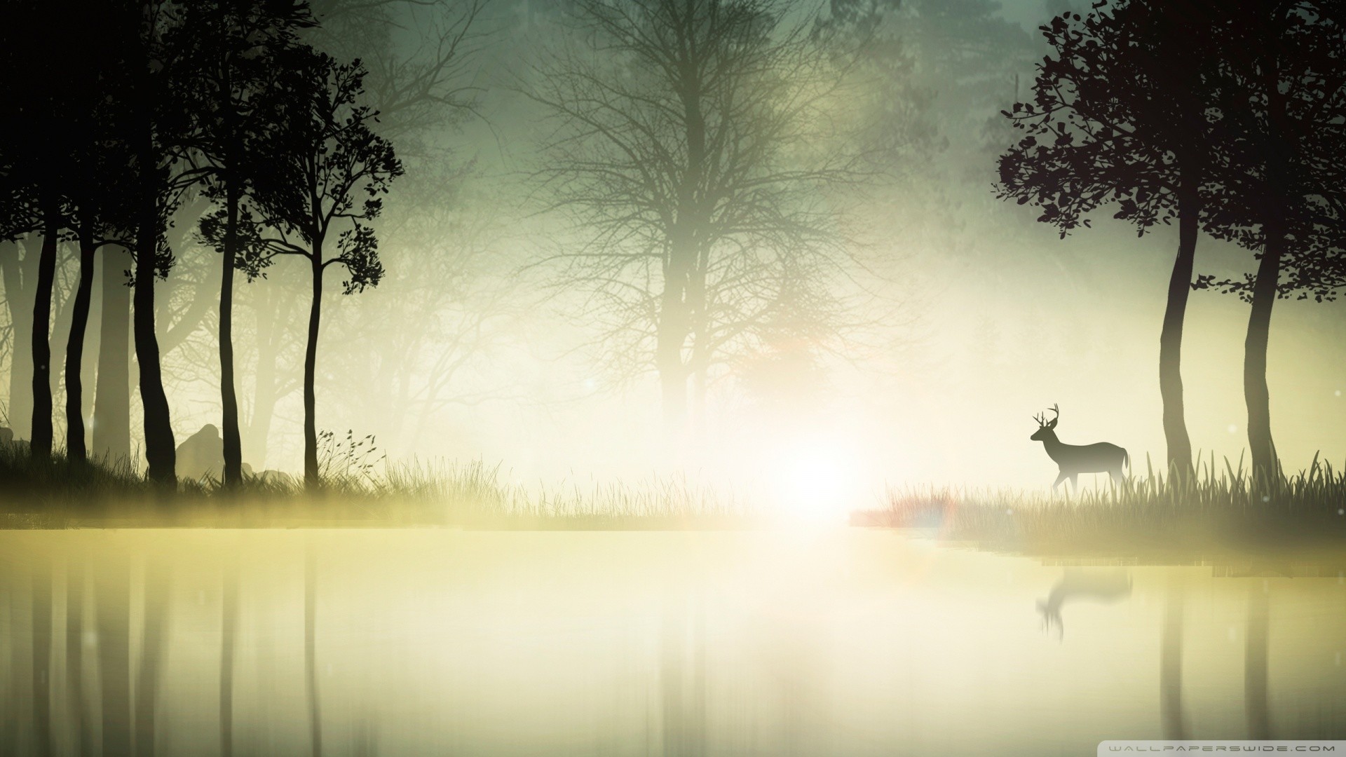 Cervo, Lago, Nebbia, Alberi, Alba, Full HD, sfondo per portatile