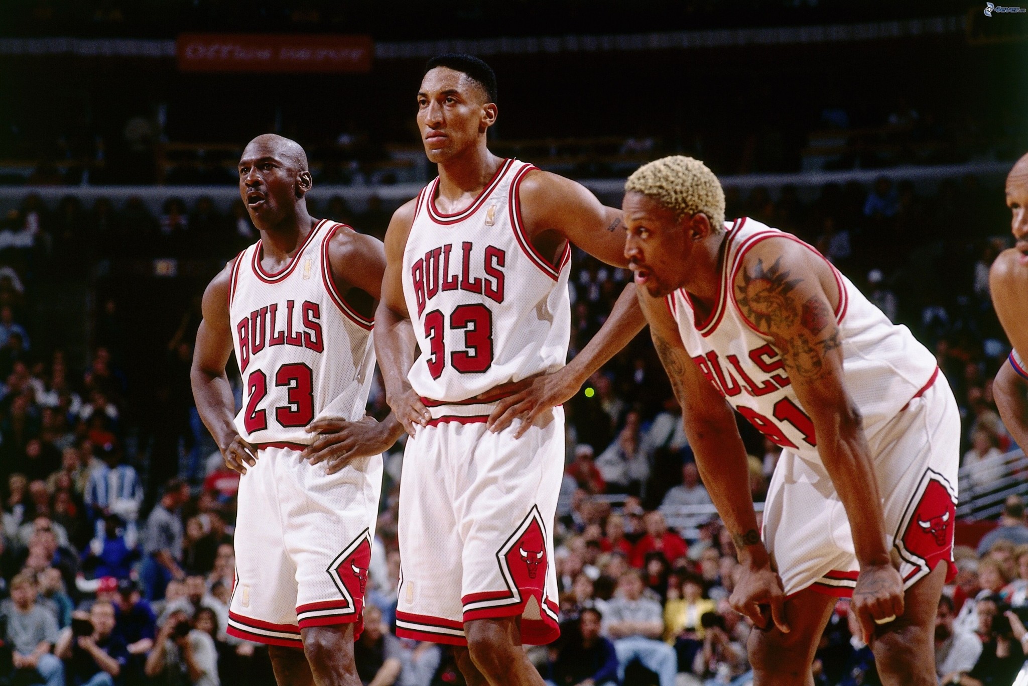 Michael Jordan, Scottie Pippen, Dennis Rodman, Chicago Bulls, Full HD, sfondo per portatile