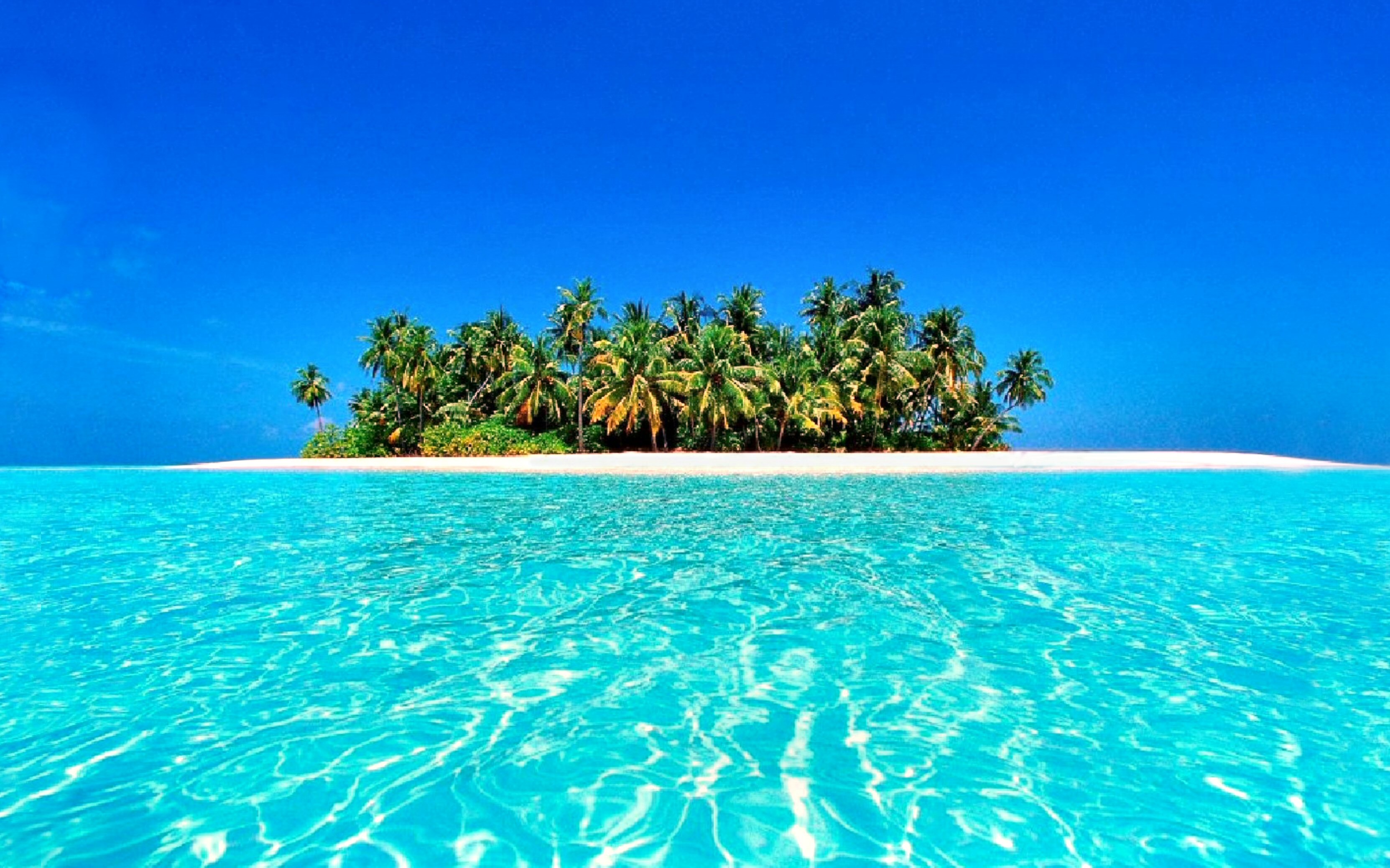 Maldive, Isola tropicale, Palme, Acqua turchese, 2K, sfondo desktop