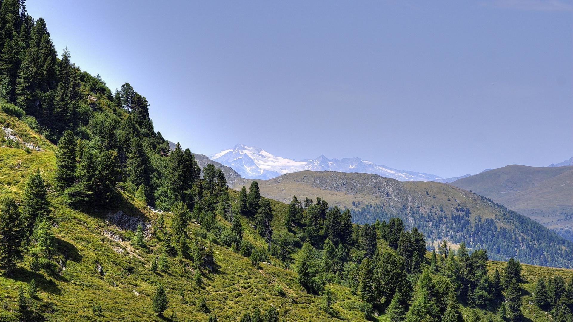 Alpi, Montagne, Foresta, Valle, Full HD 1080p, sfondo desktop