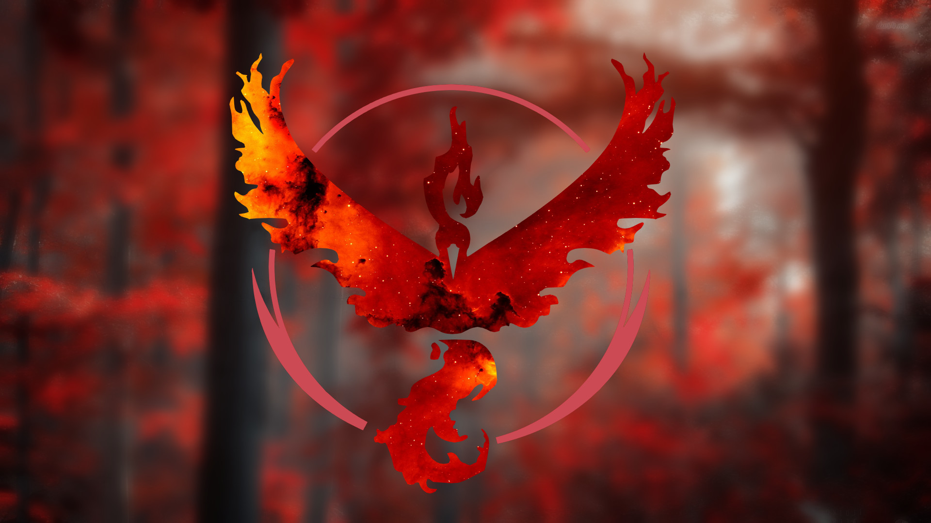 Team Coraggio, Moltres, Pokémon GO, Bosco rosso, Full HD, sfondo desktop