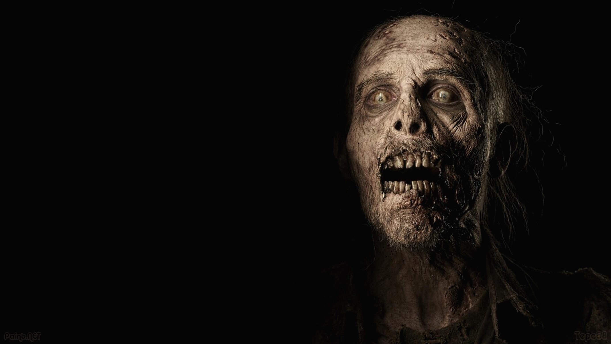 The Walking Dead, Zombie, Walker, Primo piano, Sfondo nero, Full HD, wallpaper per portatile