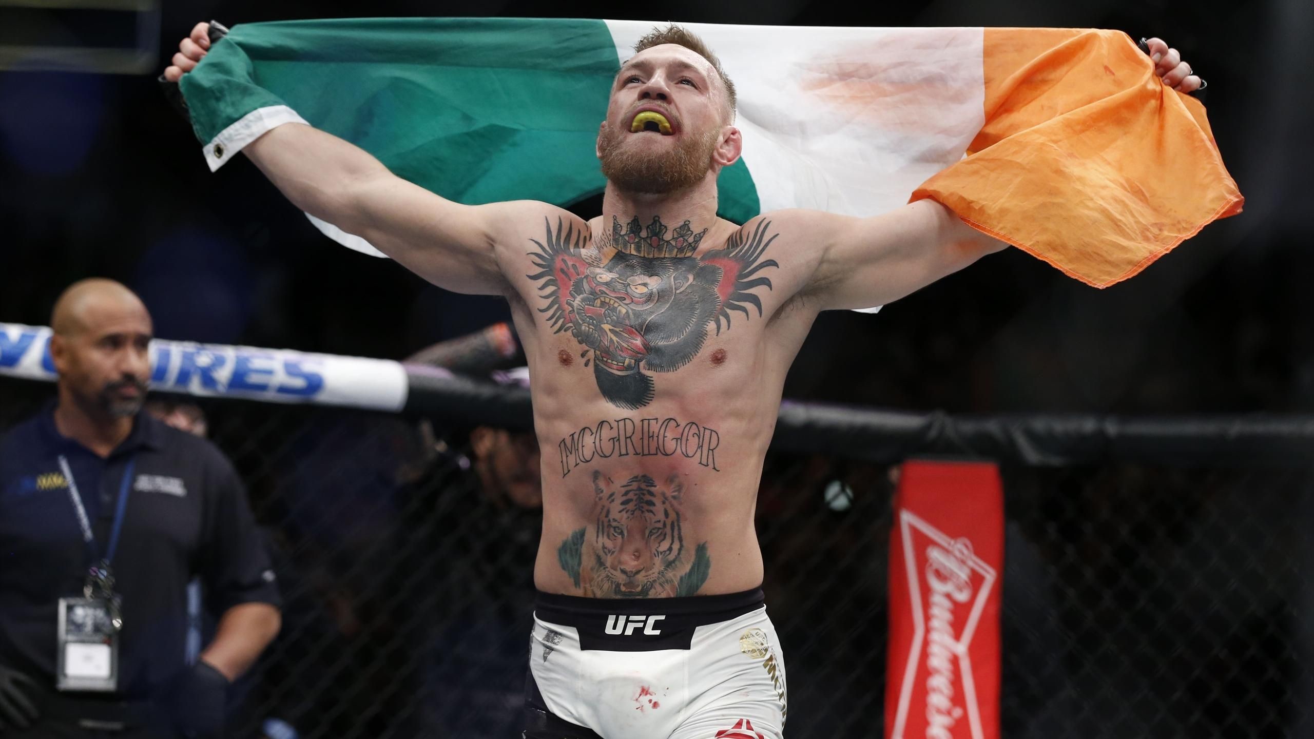 Conor McGregor, Bandiera irlandese, Vittoria, Ottagono, 2560x1440, sfondo per PC