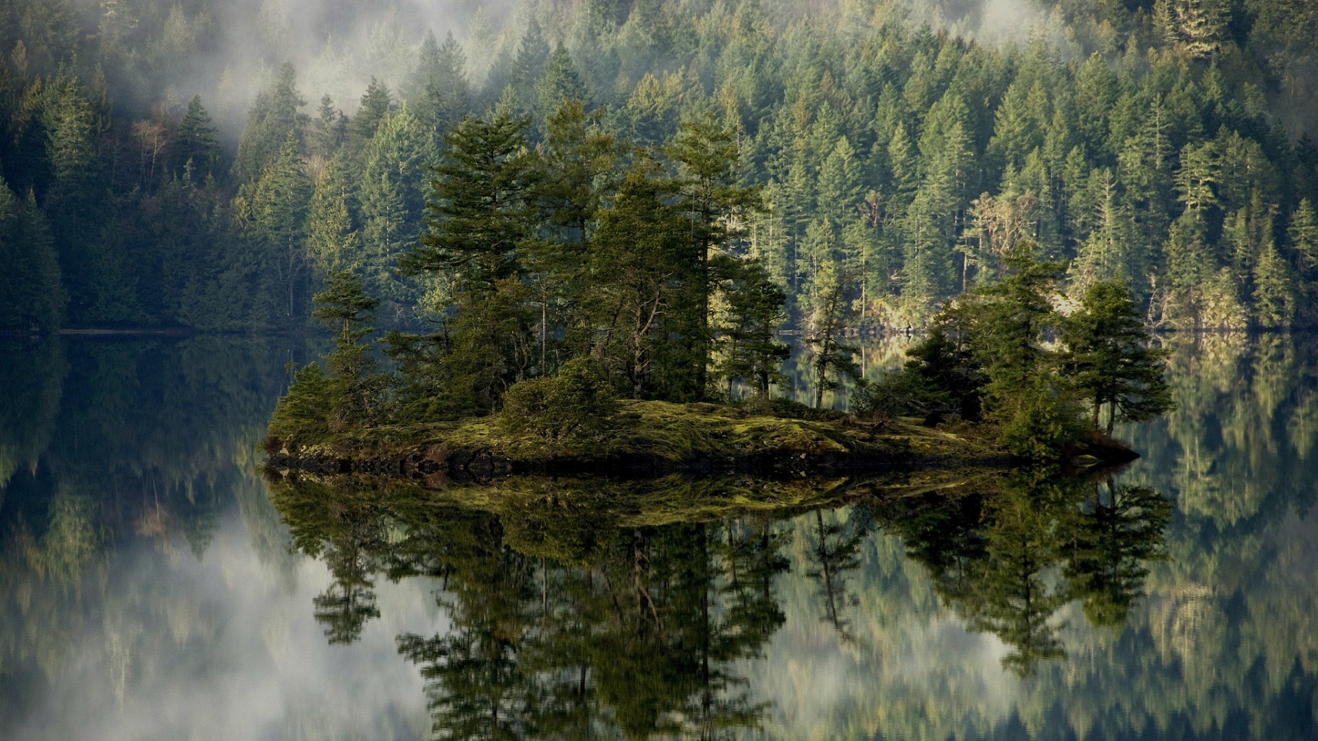Lago, Isola, Foresta, Nebbia, Full HD, sfondo per portatile