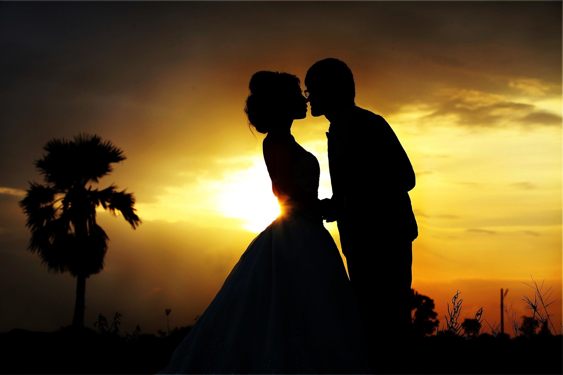 Sposi, Silhouette, Bacio, Tramonto, Palma, Full HD, wallpaper desktop