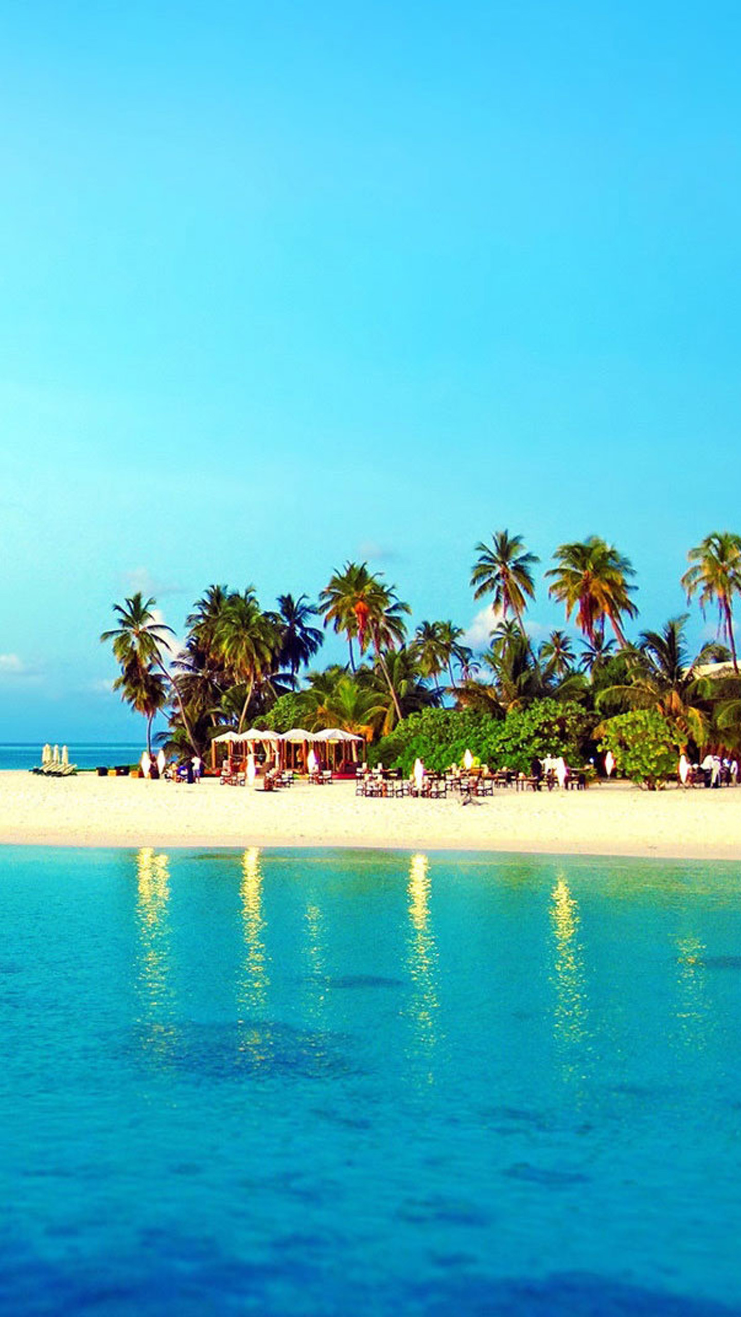 Isola tropicale, Palme, Mare turchese, Spiaggia, QHD+, wallpaper per smartphone