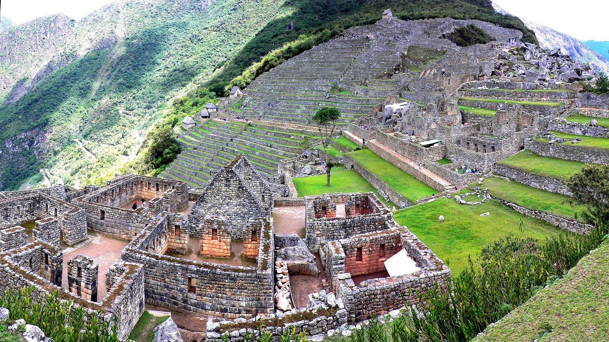 Machu Picchu, Perù, Rovine inca, Terrazzamenti, Vista dall'alto, sfondo Full HD per PC