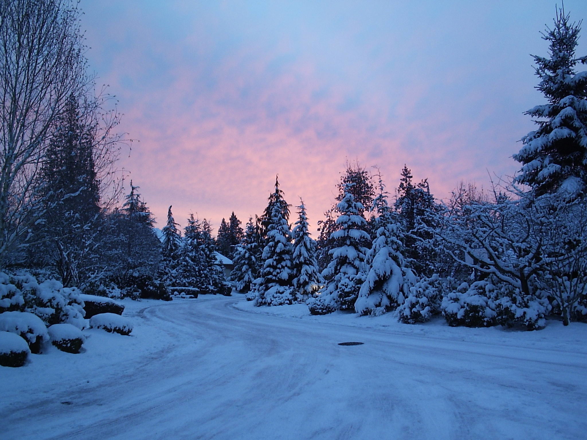 Strada innevata, Foresta, Crepuscolo, Inverno, Full HD, schermata di blocco iPad