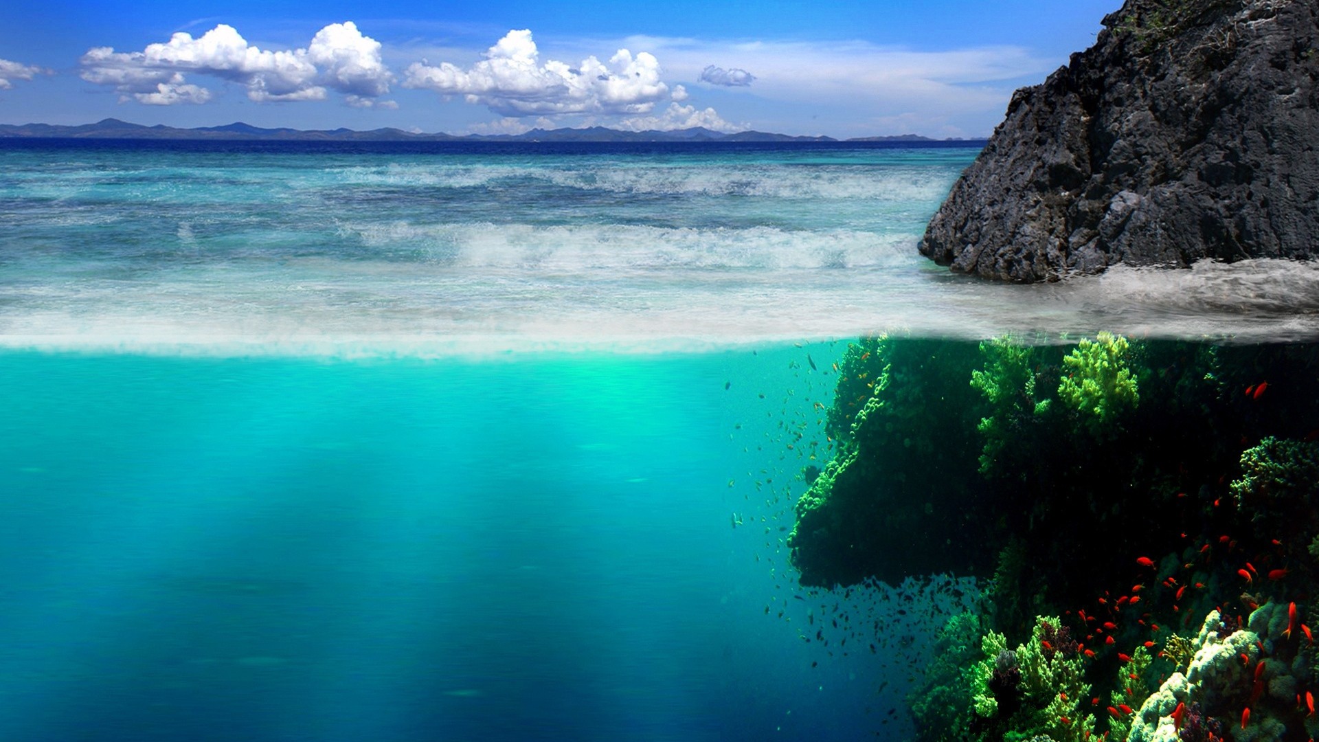 Mare, Sott'acqua, Barriera corallina, Scogliera, 1920x1080, immagine di sfondo