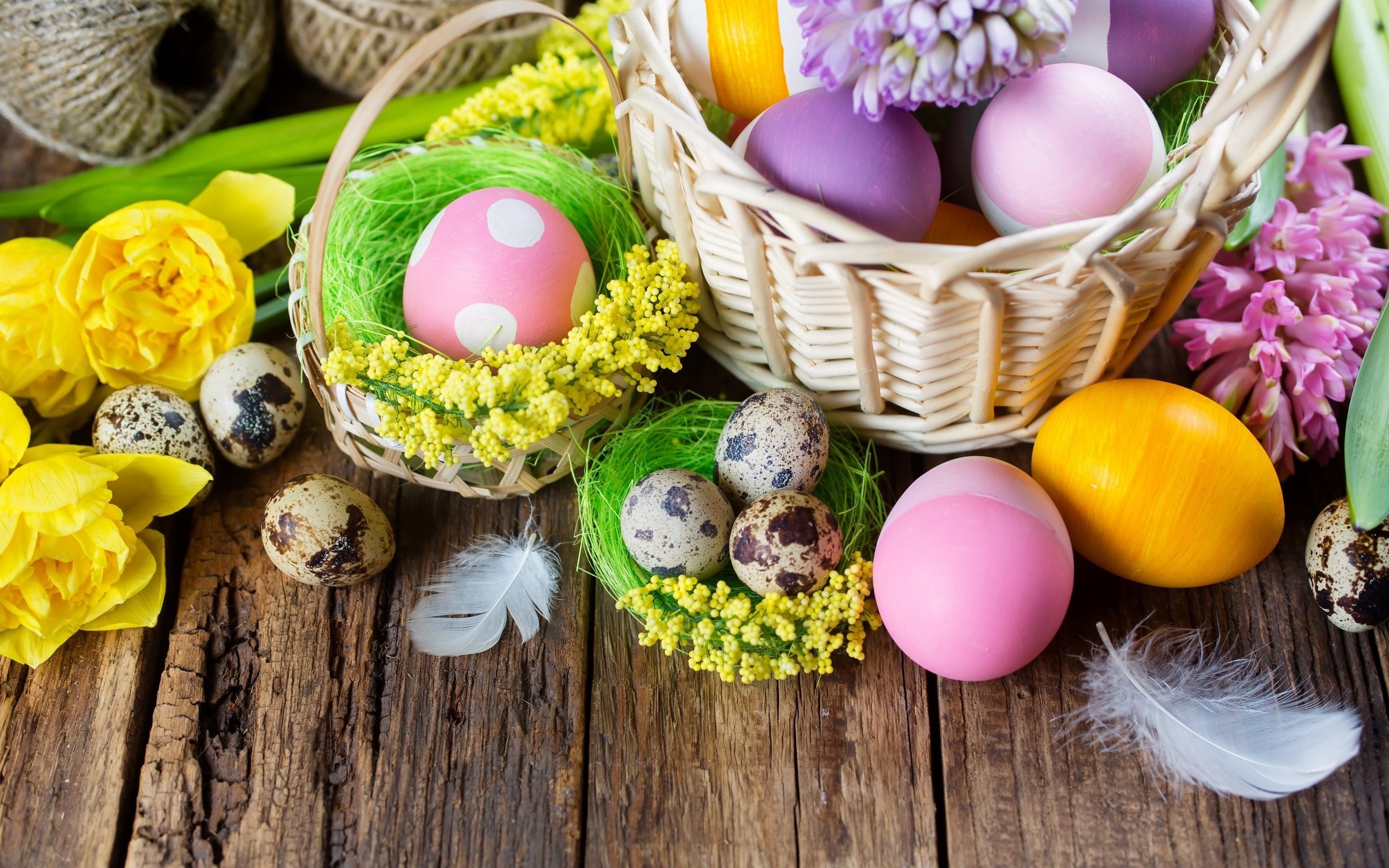Cestino di Pasqua, Uova di Pasqua, Uova di quaglia, Narcisi, Giacinti, Tavolo di legno, Primavera, sfondo per PC