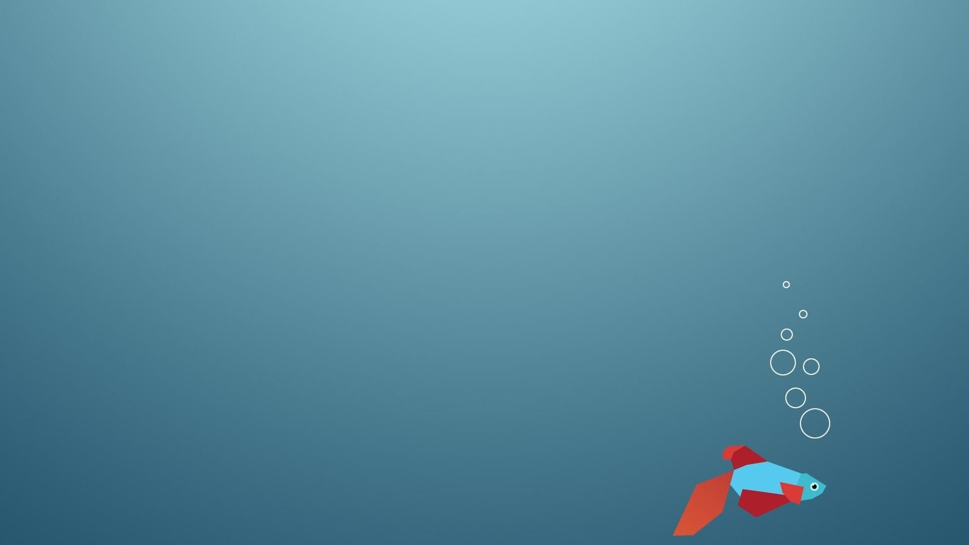 Windows 8, Pesce combattente, Betta, Bolle, Minimalista, 16:9 Full HD, sfondo widescreen