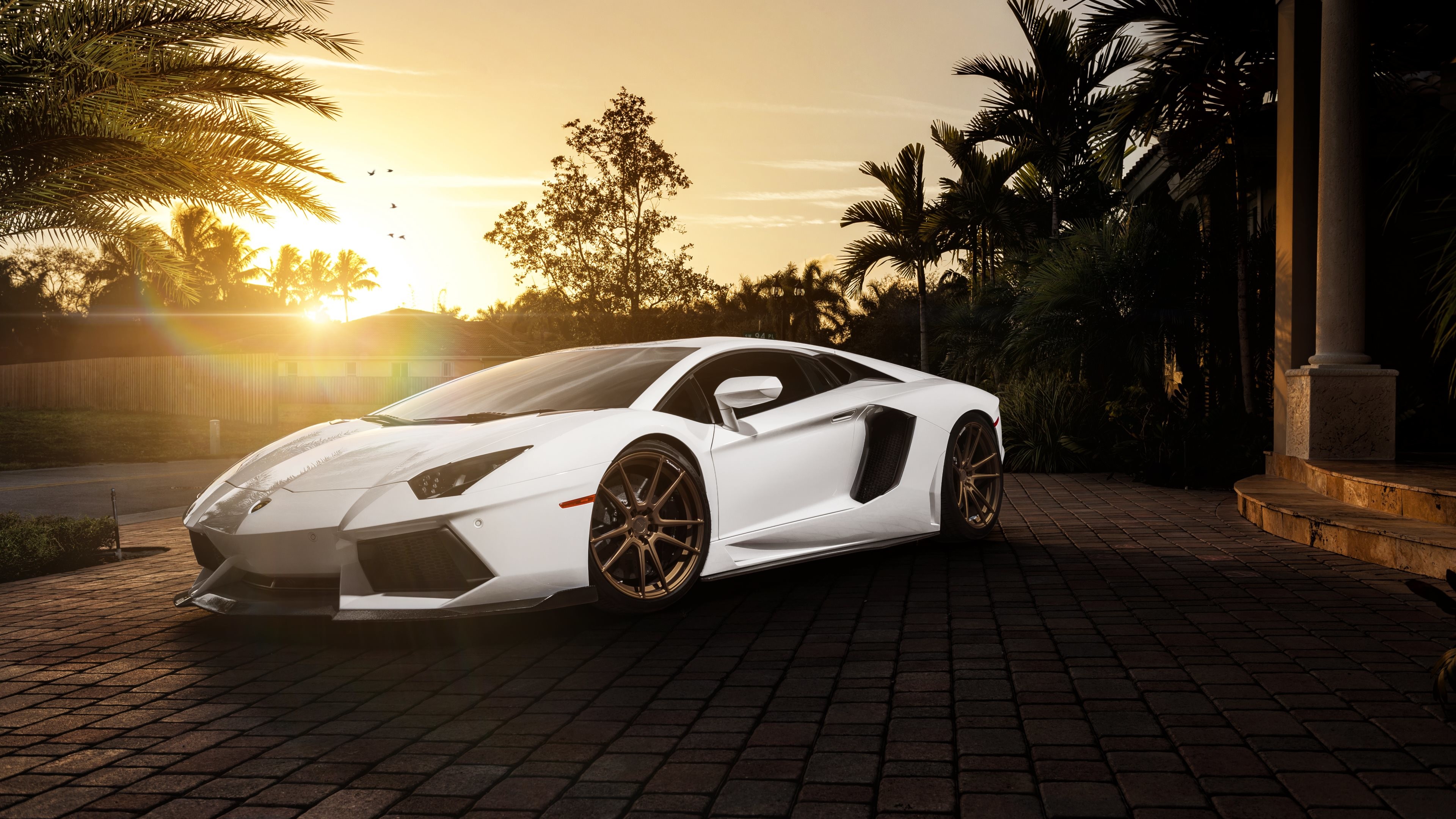 Lamborghini Aventador, Bianco, Tramonto, Palme, Supercar, 4K, sfondo Windows 11