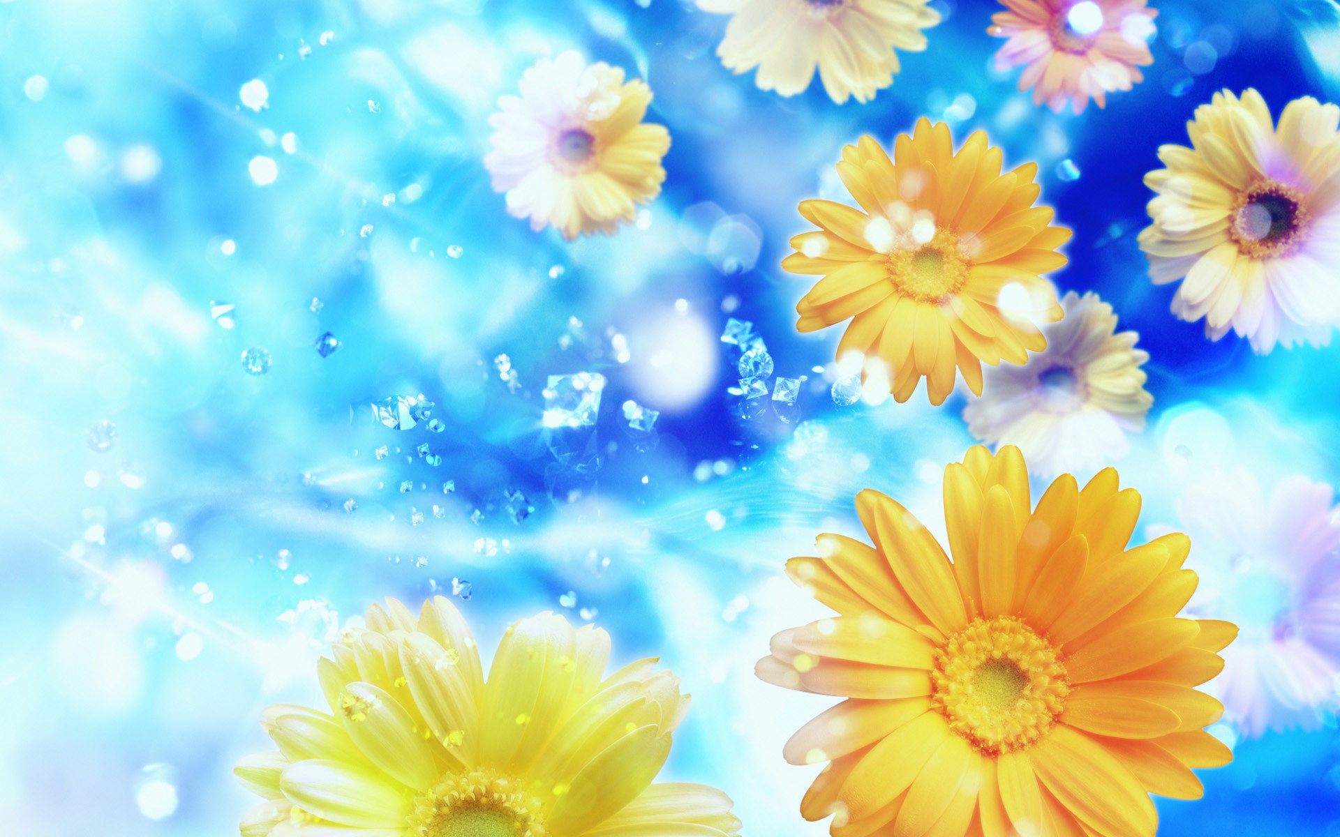 Gerbere, Fiori gialli, Blu, Arte digitale, 1920x1200, sfondo MacBook Pro