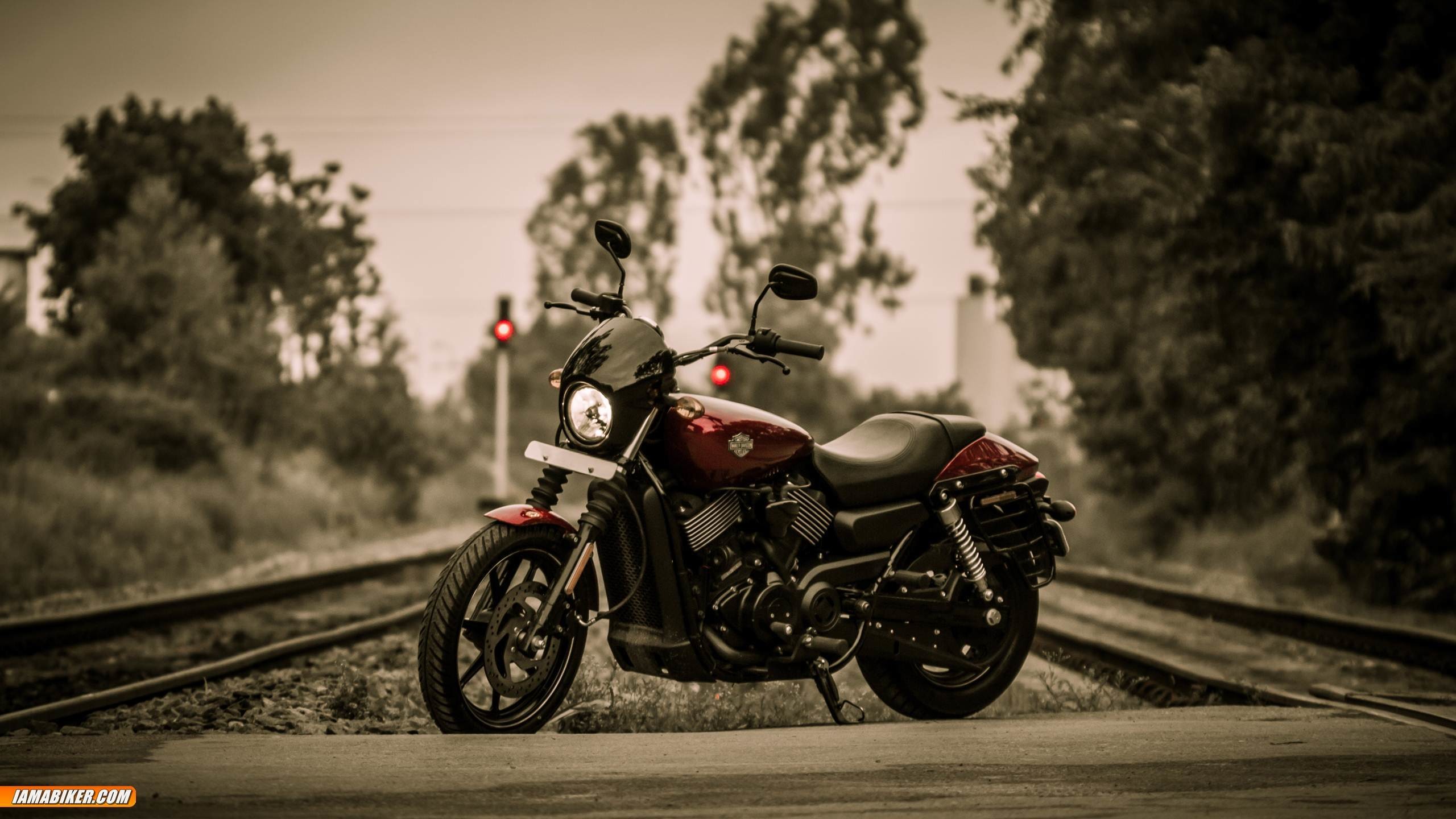 Harley-Davidson Street 750, Harley-Davidson, Binari, Seppia, Alberi, sfondo desktop 2K