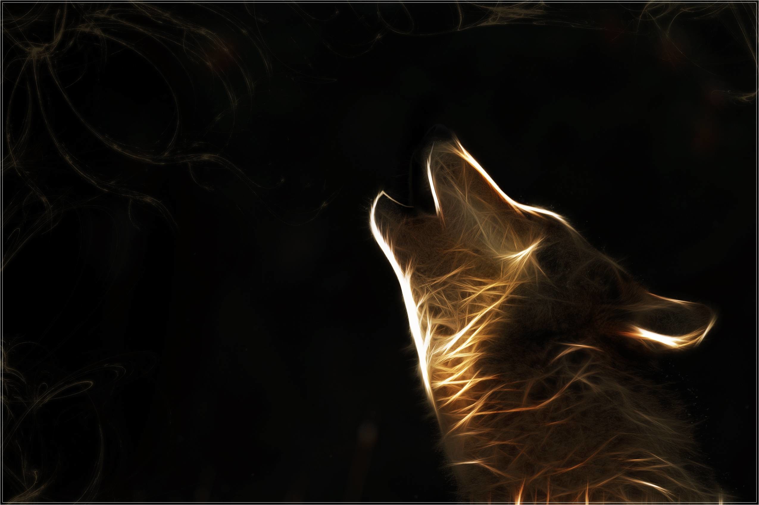 Lupo, Ululato, Fractal art, Sfondo nero, Full HD, wallpaper per portatile