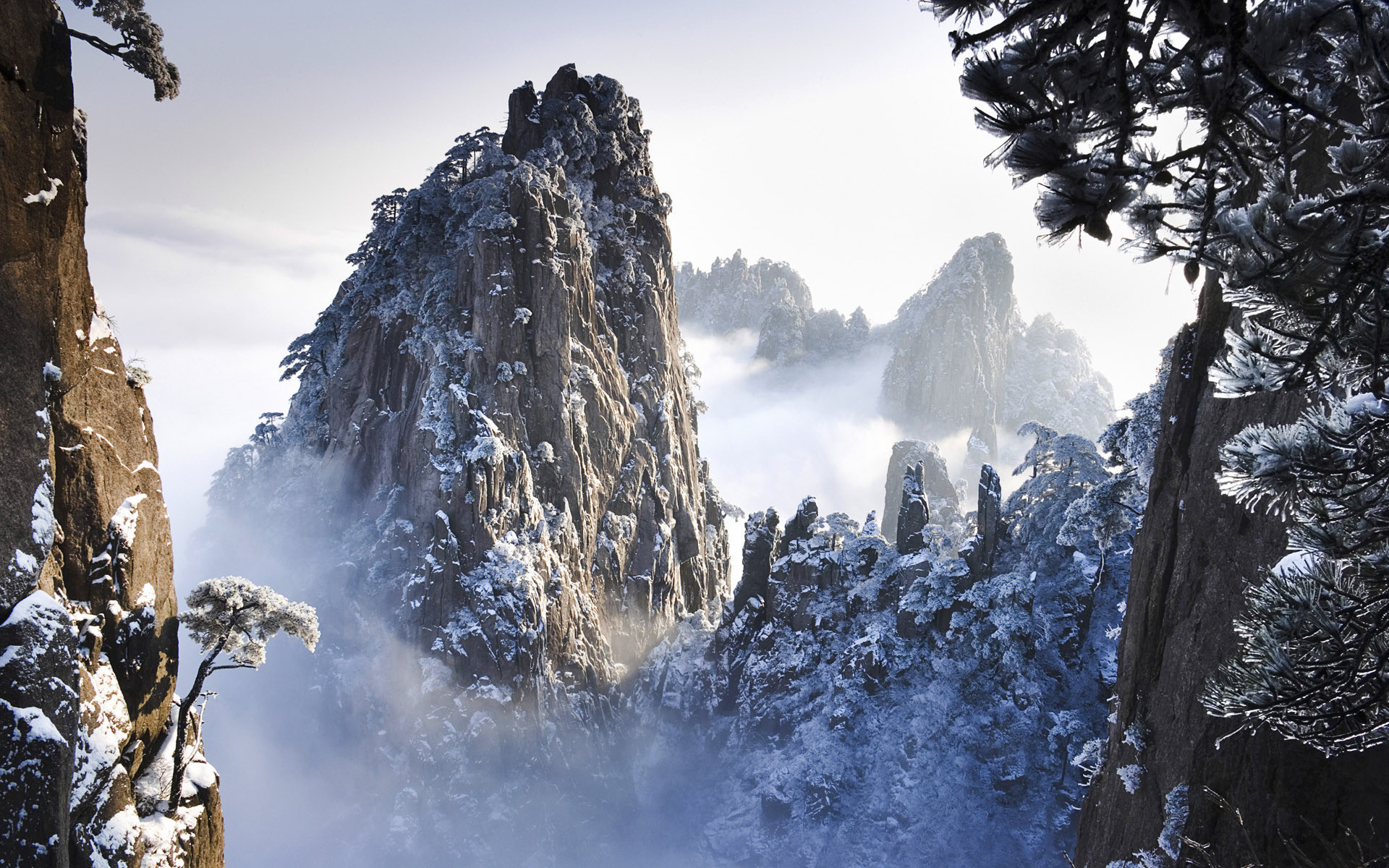 Huangshan, Monti Gialli, Cina, Neve, Nebbia, Pini, 1920x1200, sfondo per PC