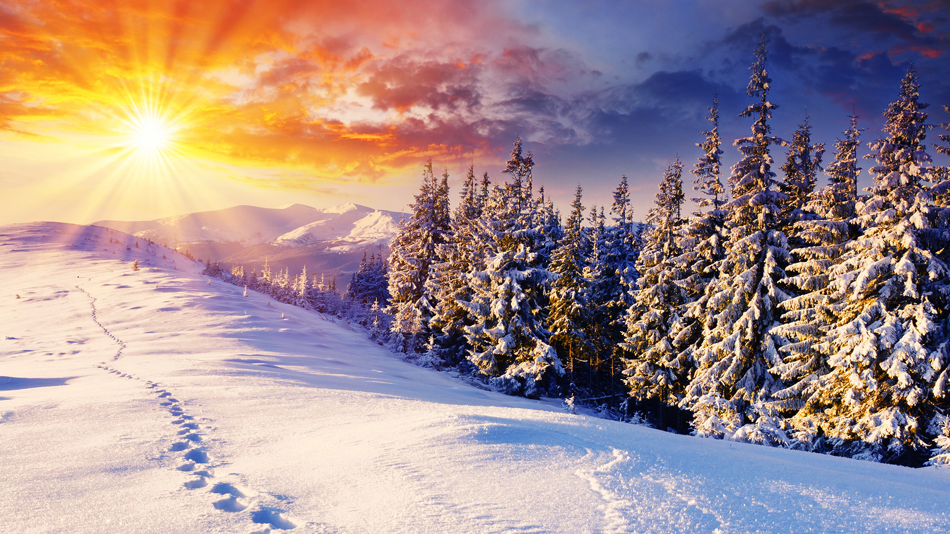 Abeti innevati, Tramonto, Raggi di sole, Impronte, 16:9 Full HD, sfondo widescreen