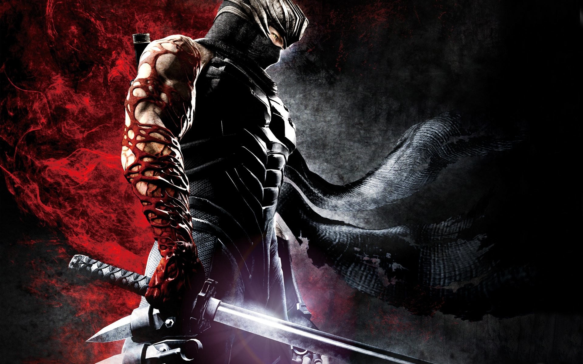 Ryu Hayabusa, Ninja Gaiden, Katana, Videogioco, 1920x1200, sfondo per PC