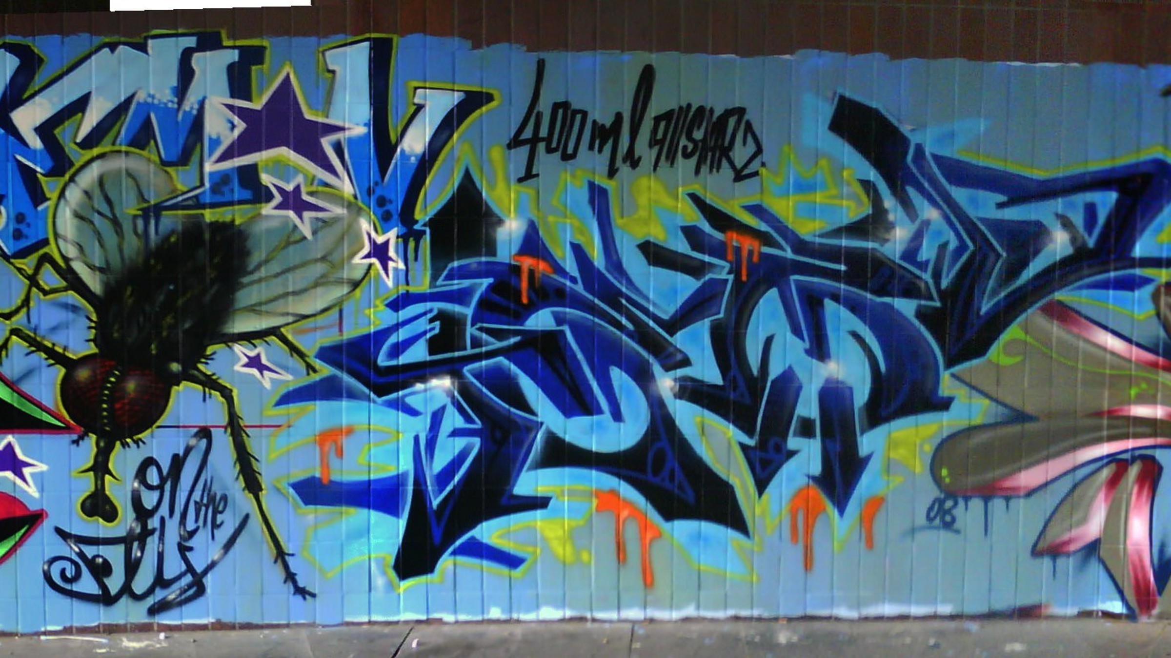 Graffiti, Wildstyle, Mosca, Blu, Full HD, sfondo desktop