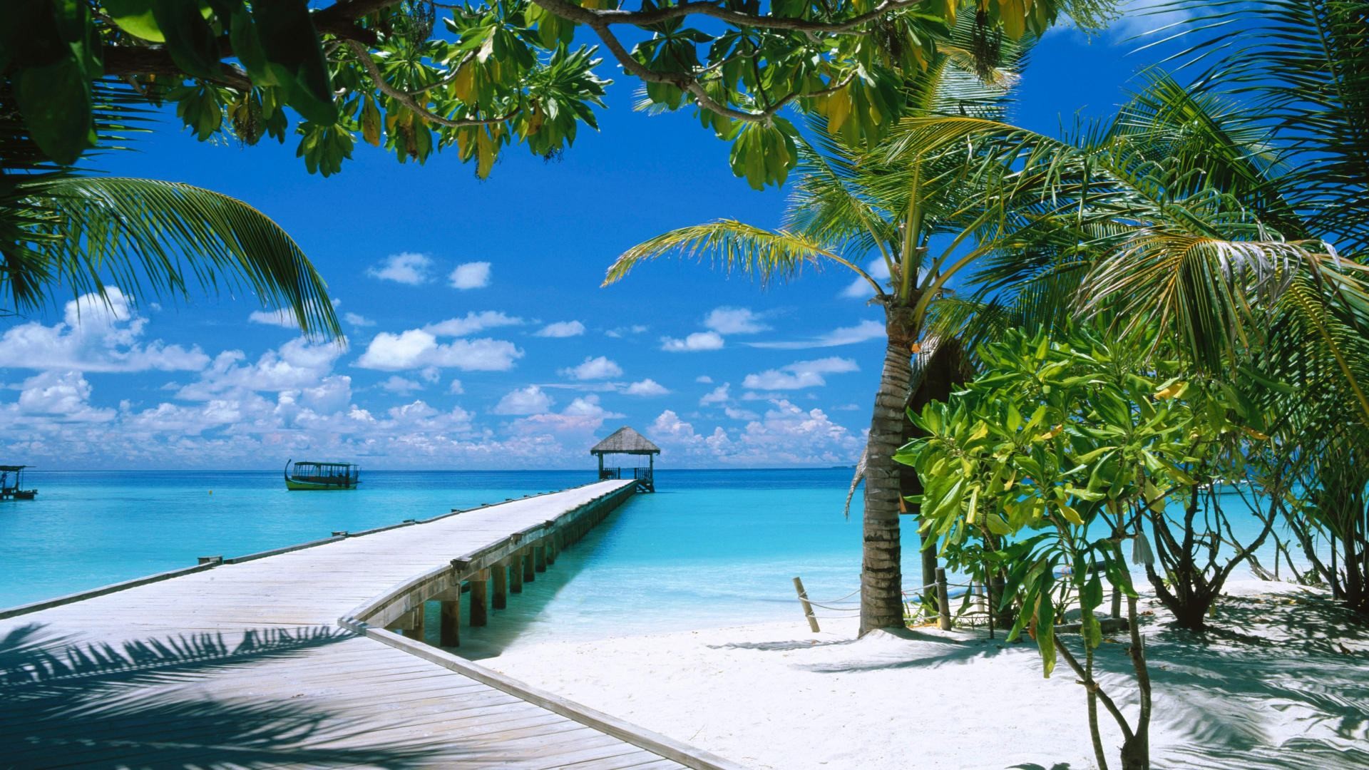 Search Results for "desktop computer wallpaper free" – Adorable Wallpapers, sfondo Full HD per portatile