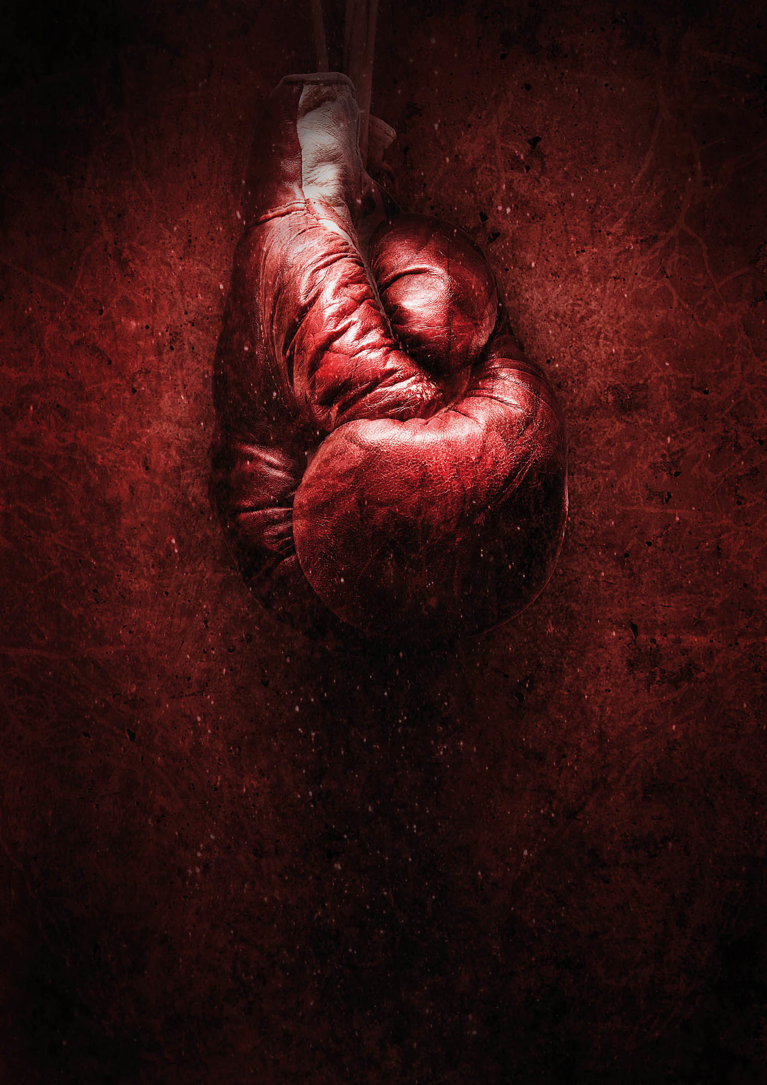 Guantone da boxe, Rosso scuro, QHD+, sfondo per iPad e tablet