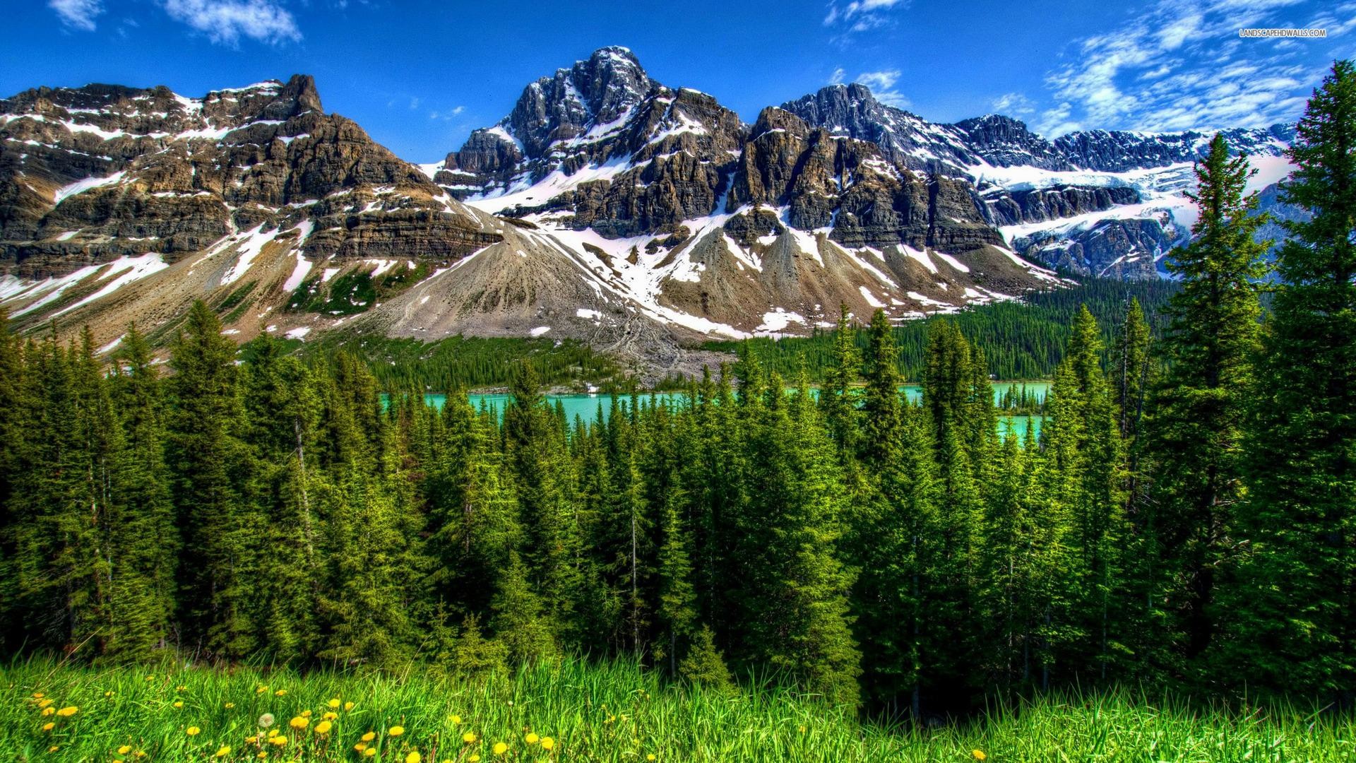 Crowfoot Mountain, Banff, Canada, Lago, Foresta, Montagne innevate, sfondo per portatile