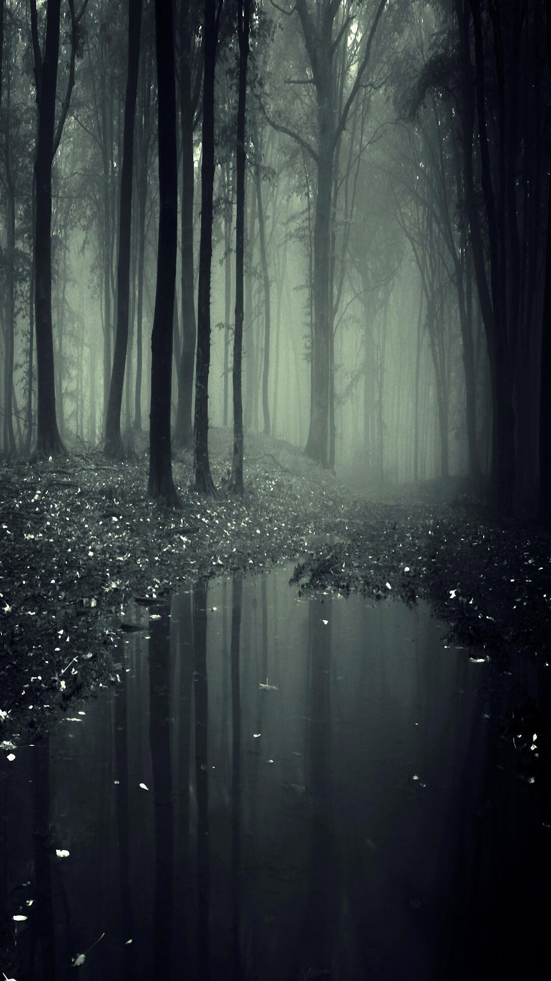 Foresta, Nebbia, Stagno, Cupo, Full HD, sfondo per smartphone