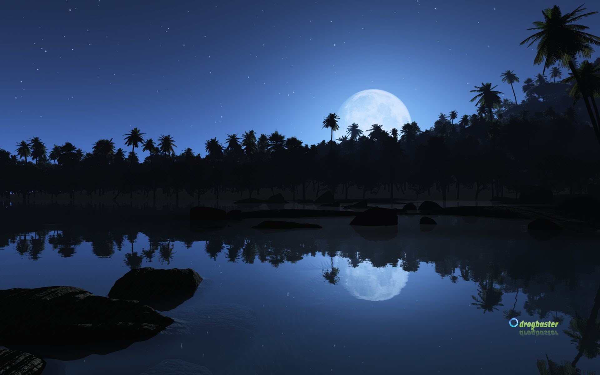 Luna piena, Lago, Palme, Riflesso, Notte, Full HD, sfondo Windows 11