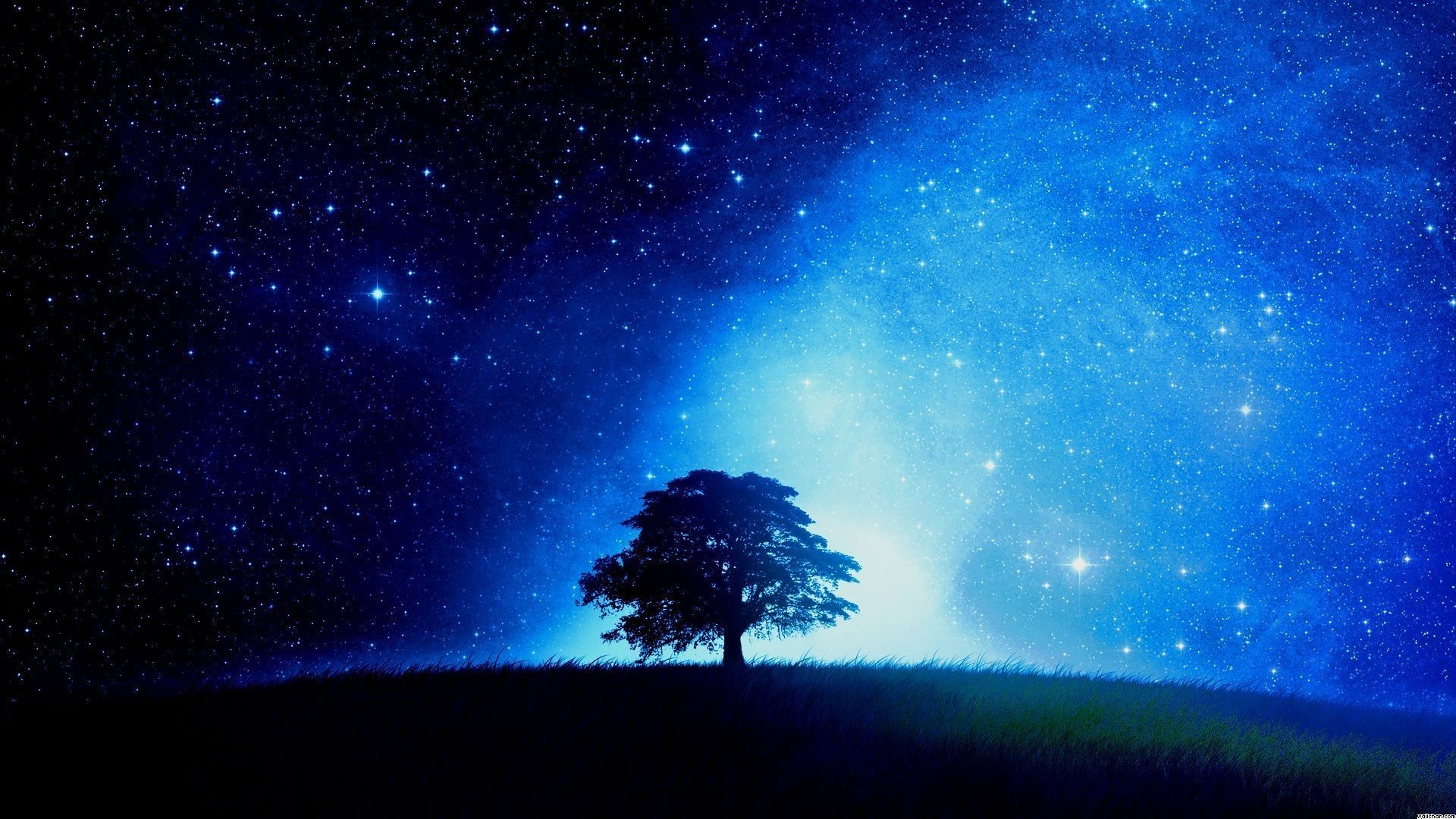 Cielo stellato, Albero solitario, Collina, Blu, 16:9 Full HD, sfondo widescreen