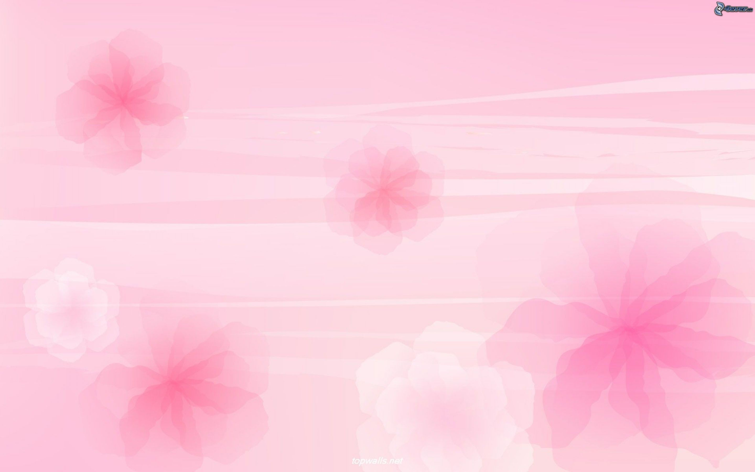 Fiori stilizzati, Rosa pastello, Vettoriale, 2K, wallpaper desktop
